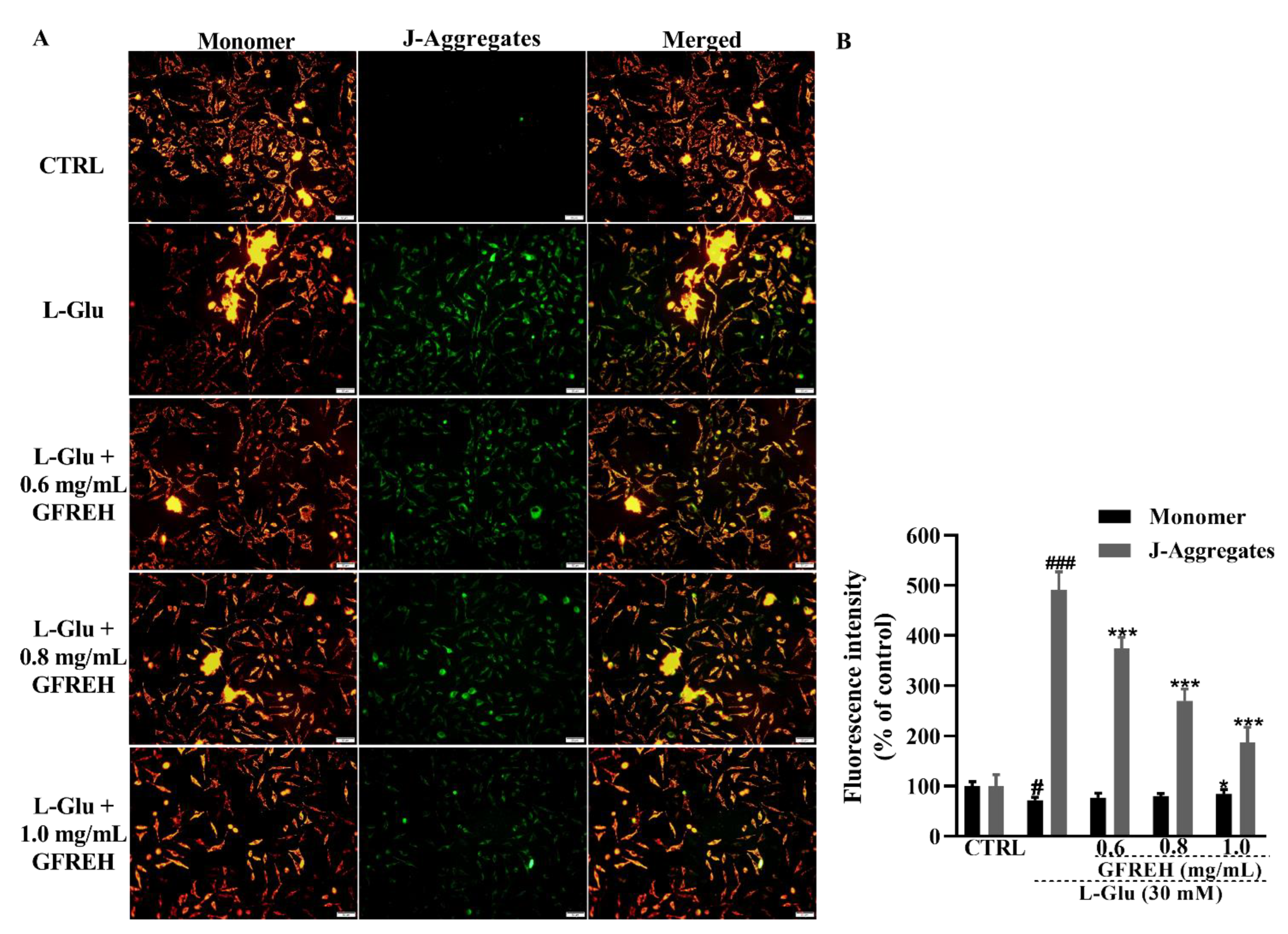 Molecules 27 07824 g005