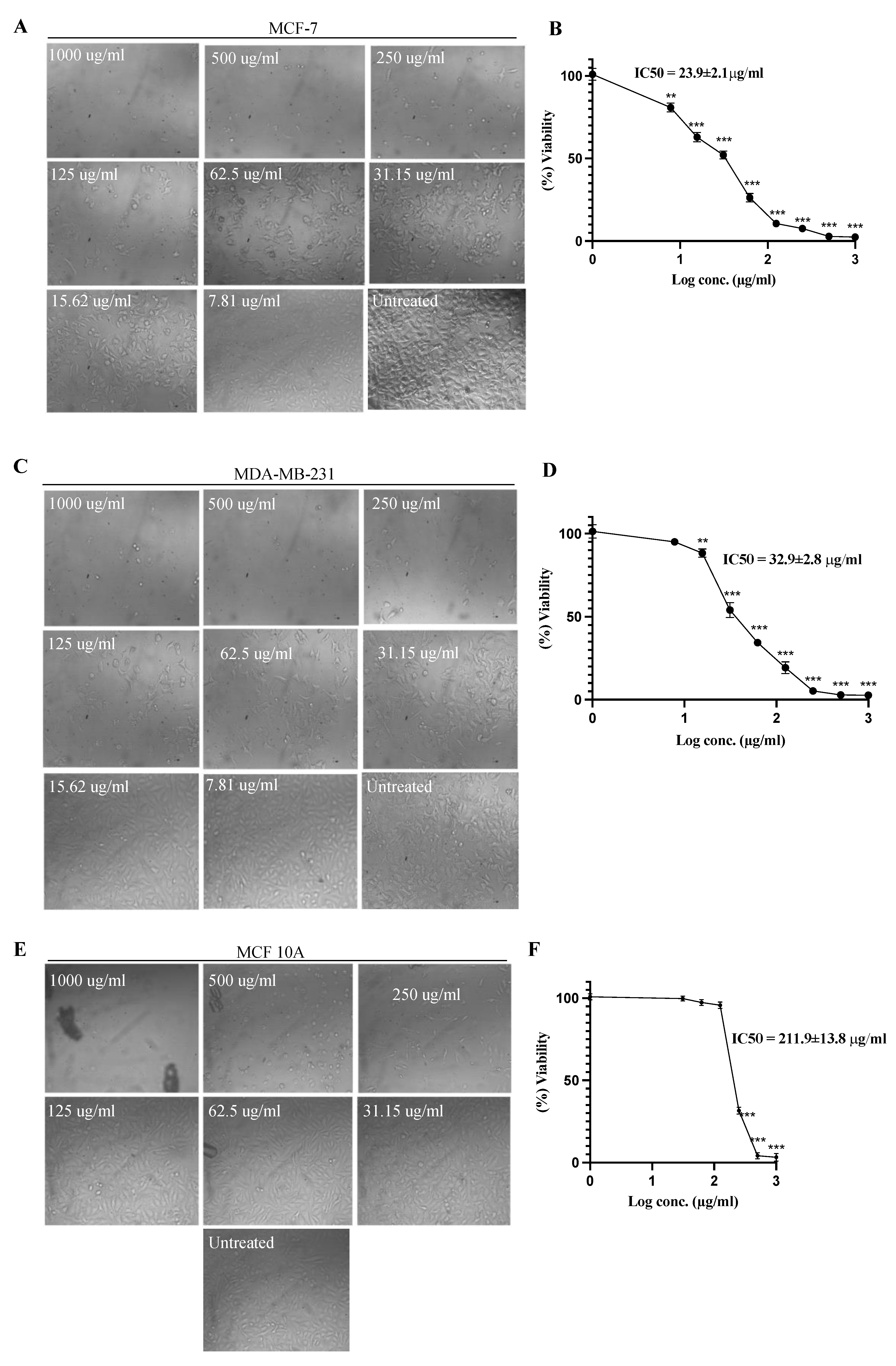 Molecules 27 07825 g001 Molecules 27 07825 g001