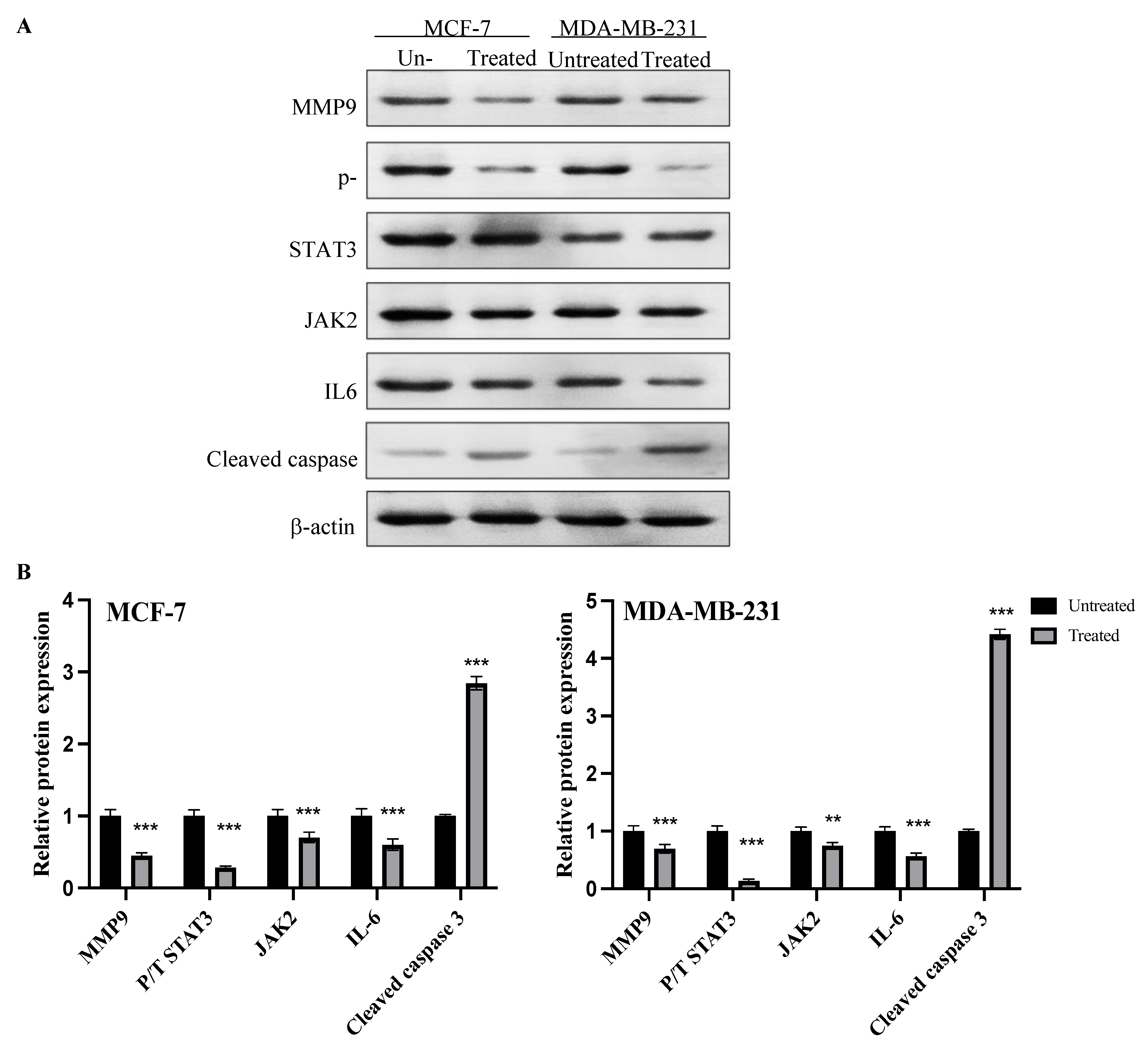 Molecules 27 07825 g008 Molecules 27 07825 g008