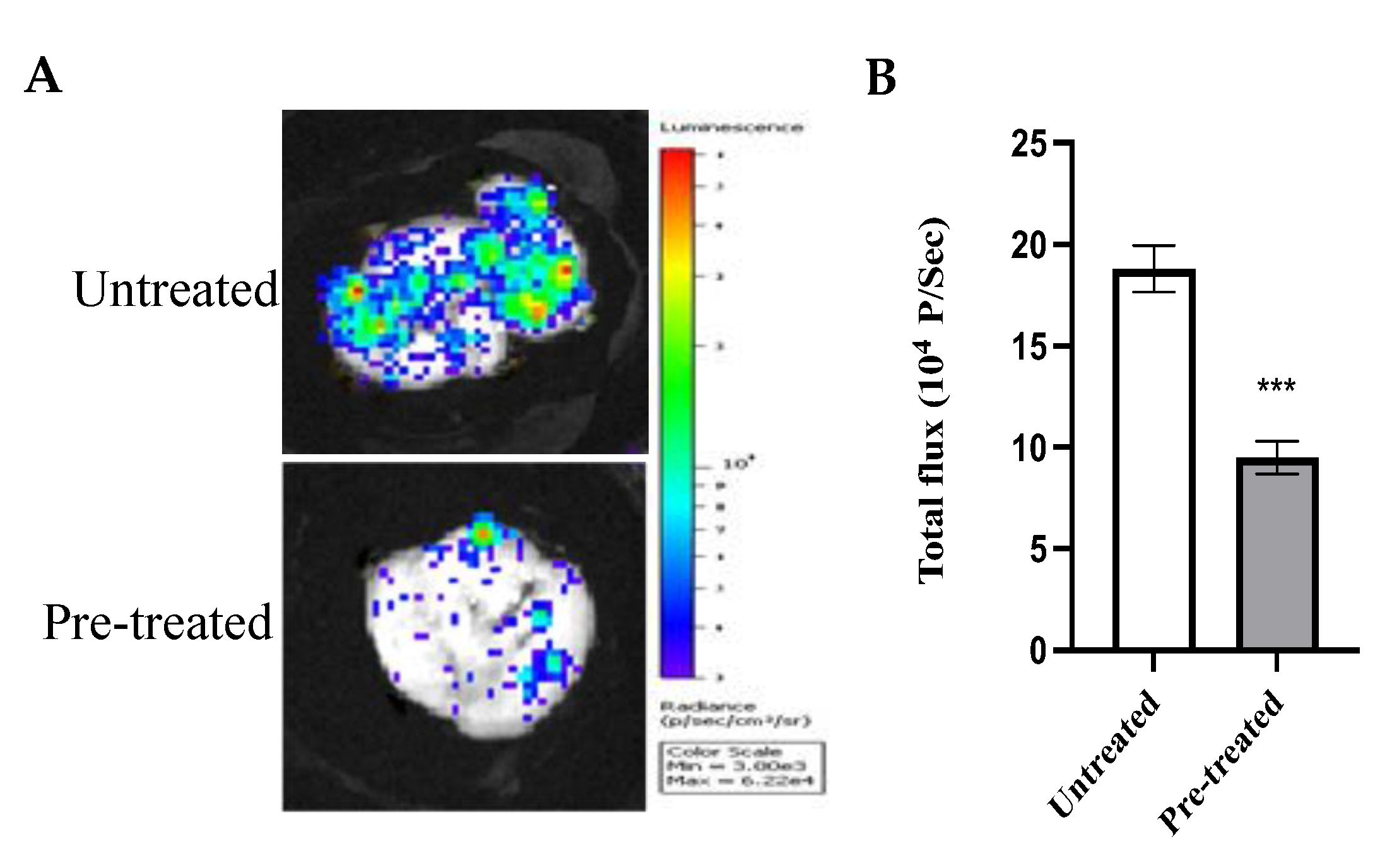 Molecules 27 07825 g010 Molecules 27 07825 g010