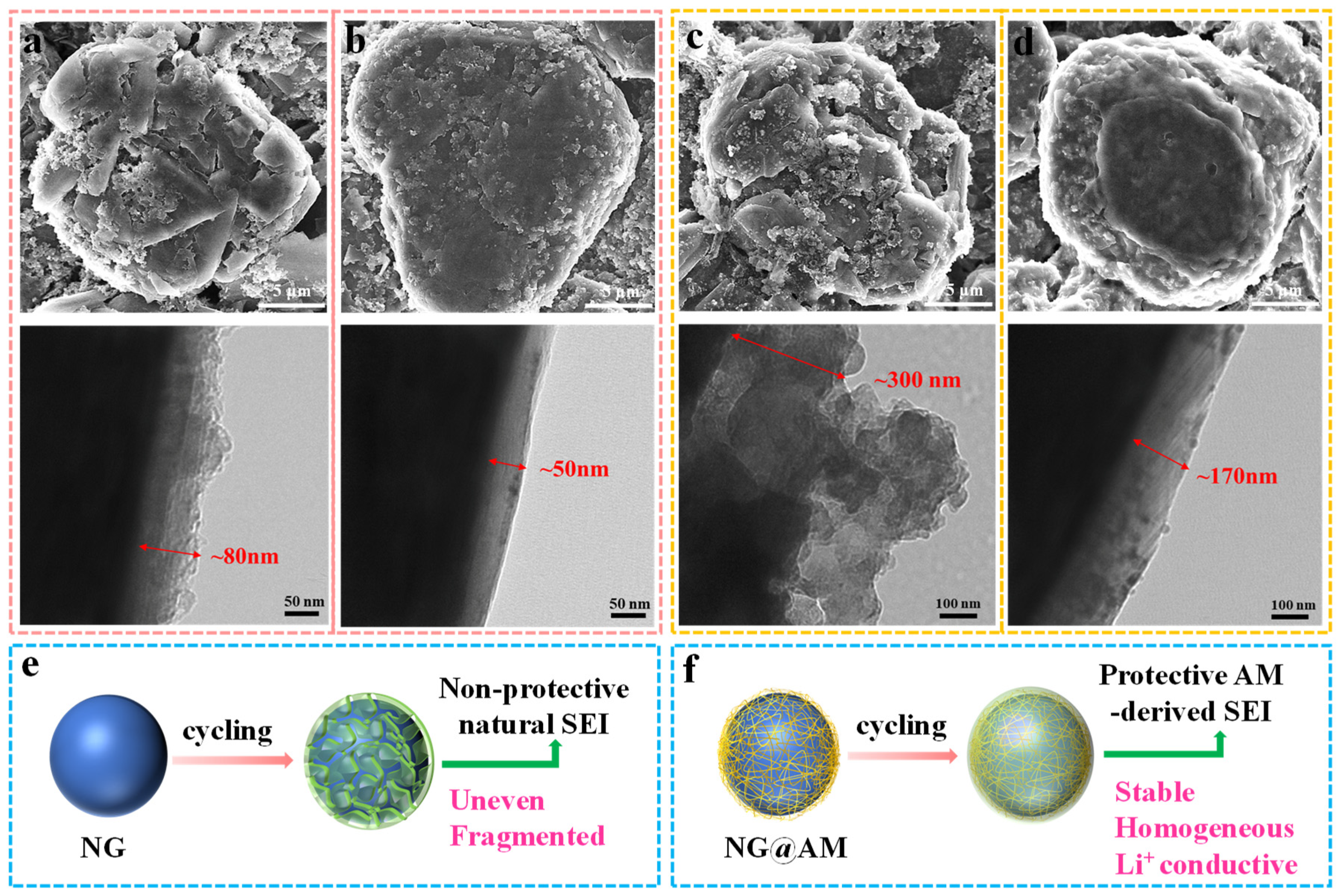 Molecules 27 07827 g006