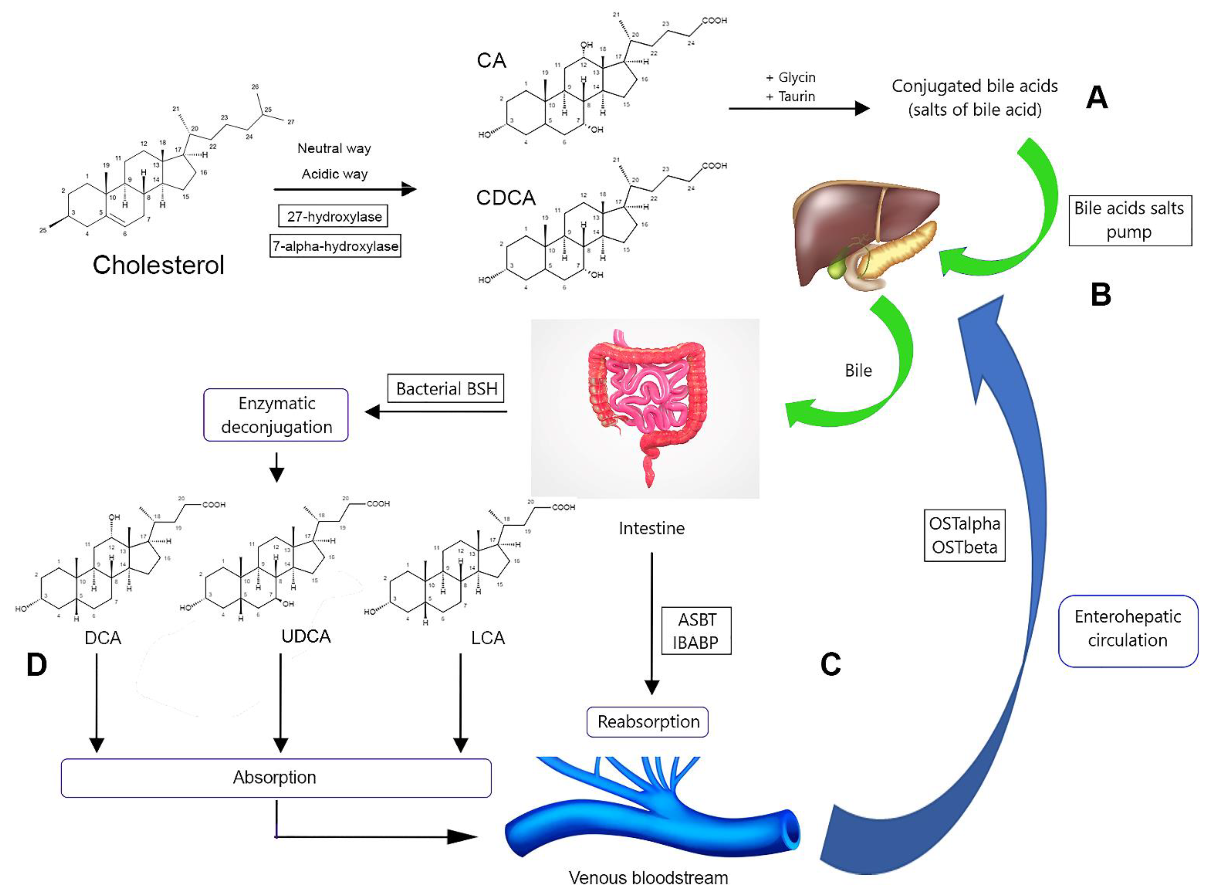 Molecules 27 07830 g002