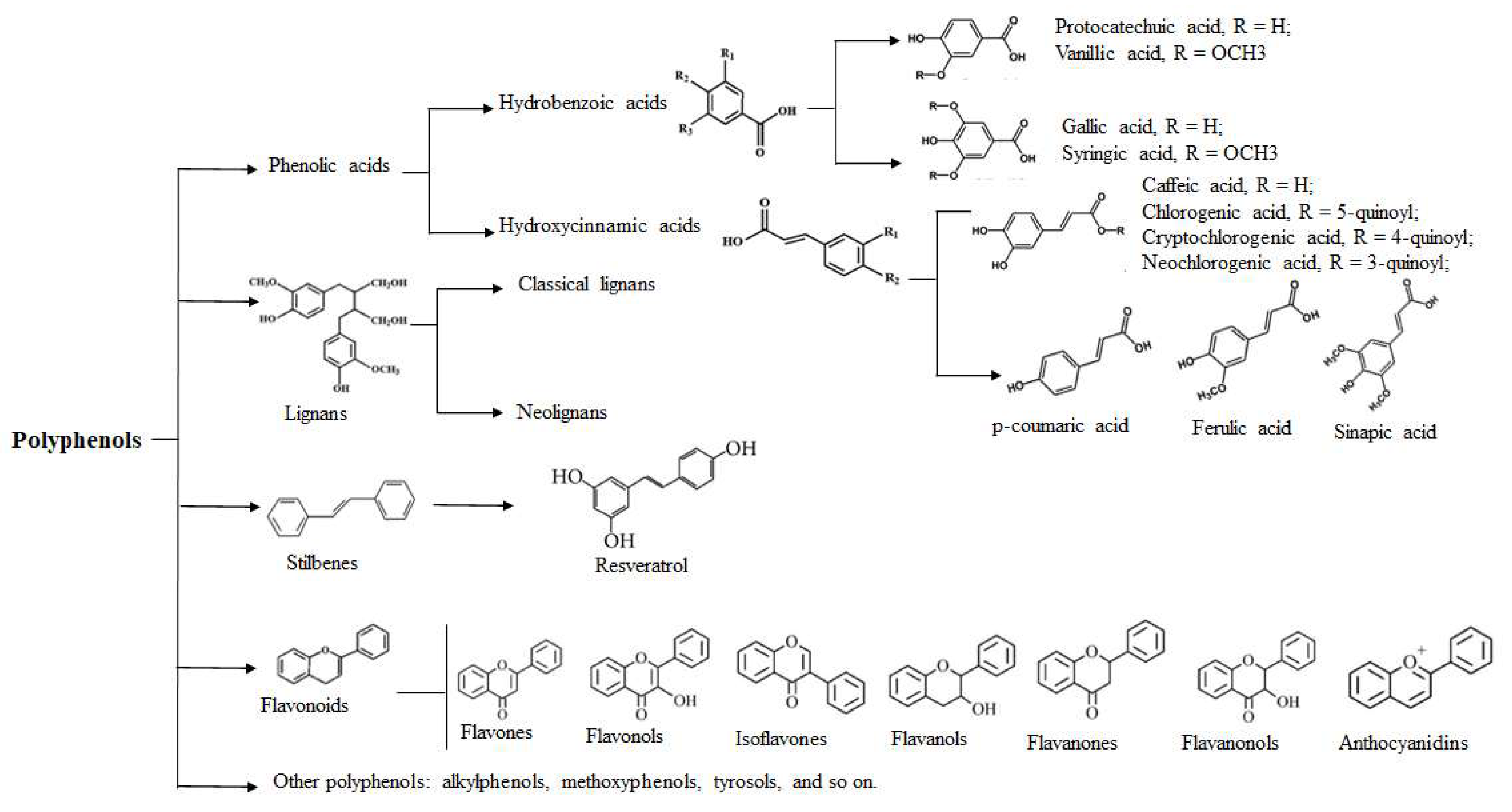 Molecules 27 07832 g001