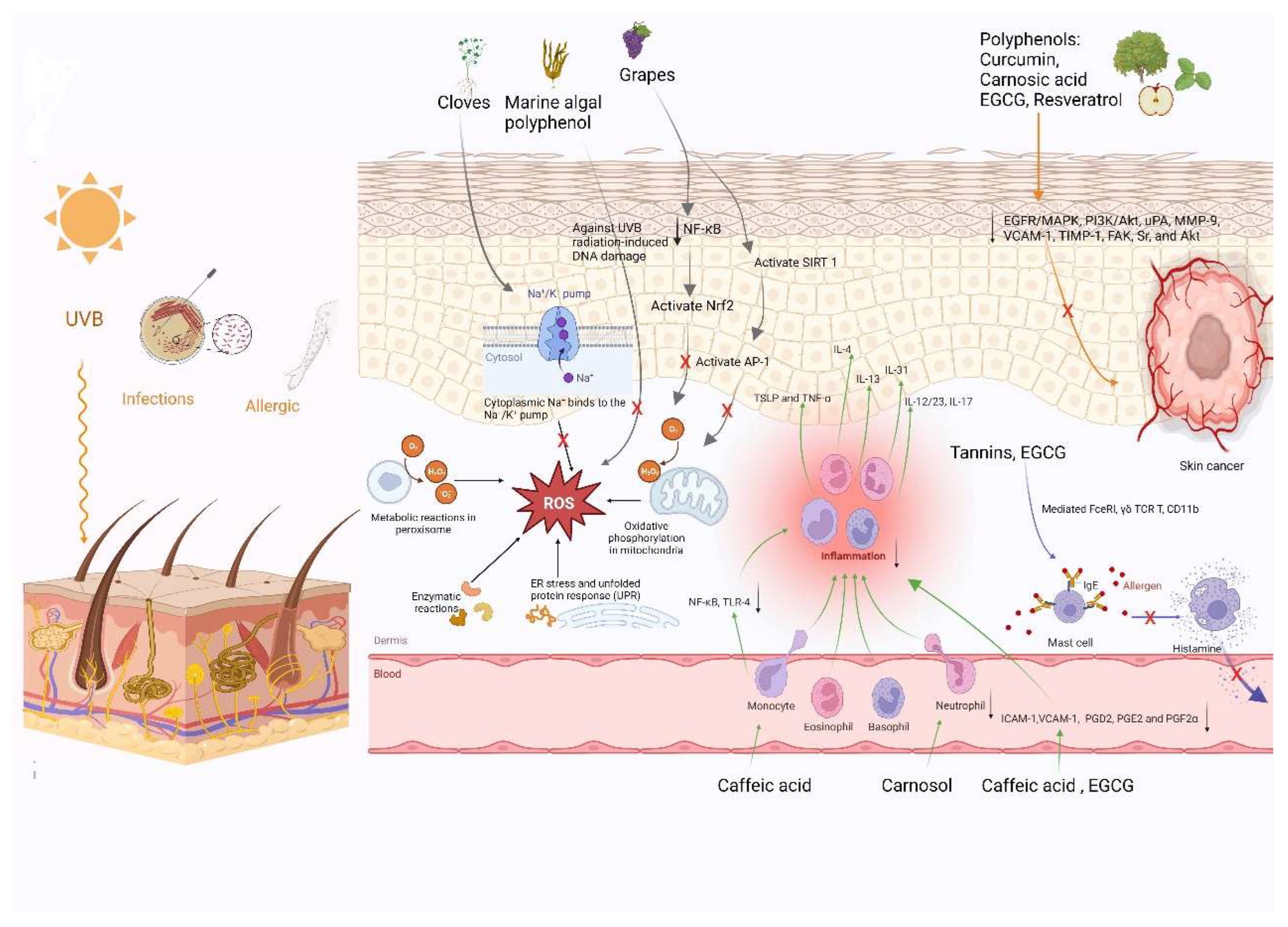 Molecules 27 07832 g002