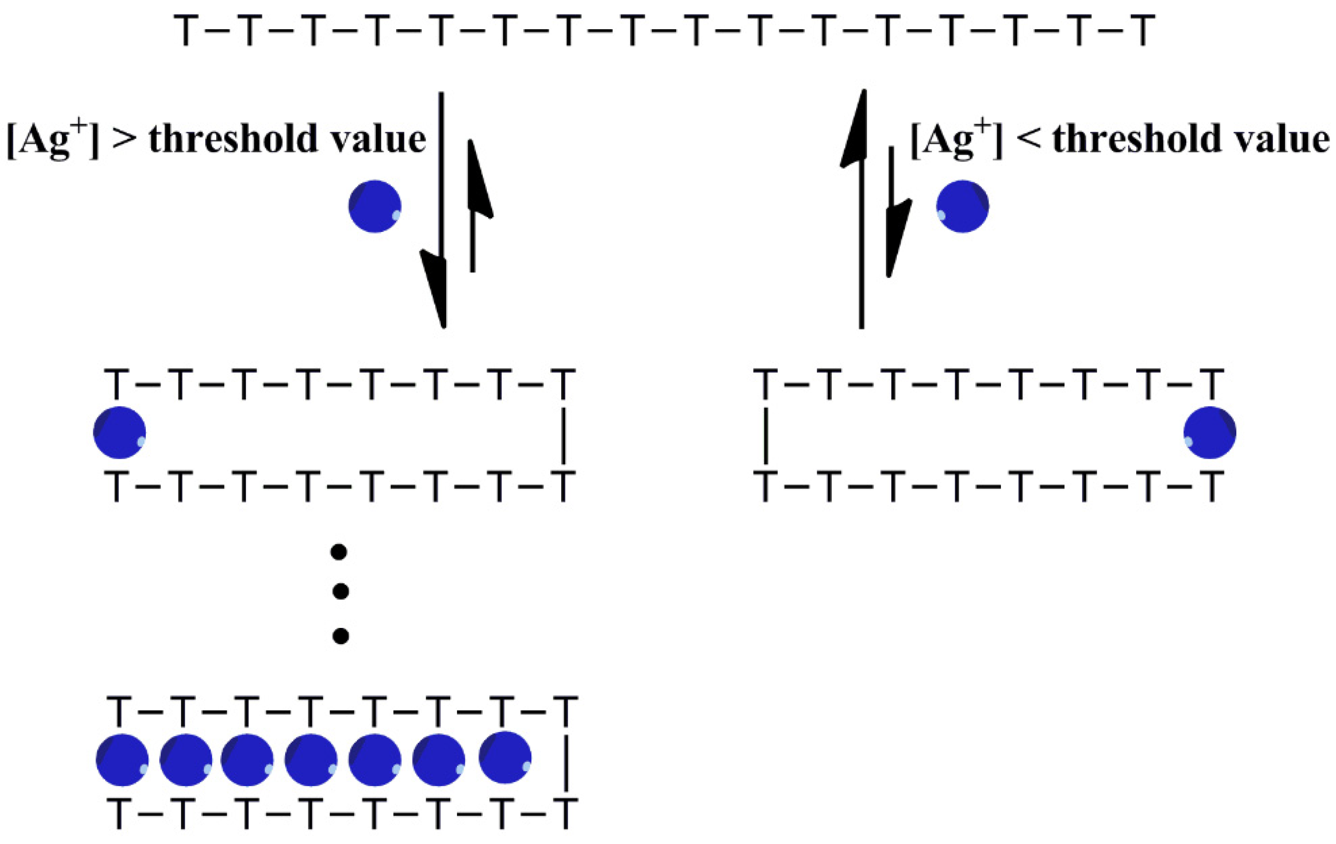 Molecules 27 07842 g006 Molecules 27 07842 g006