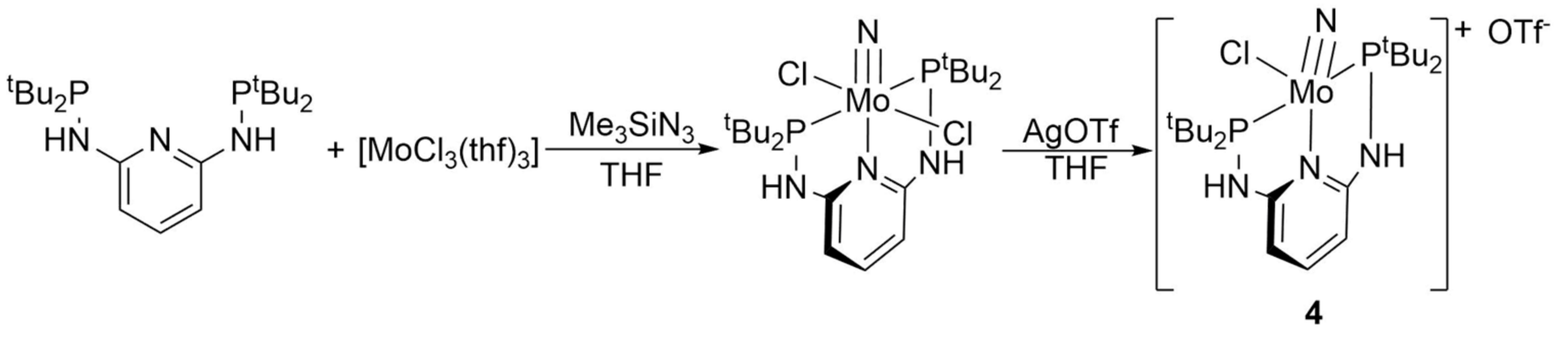 Molecules 27 07843 sch002