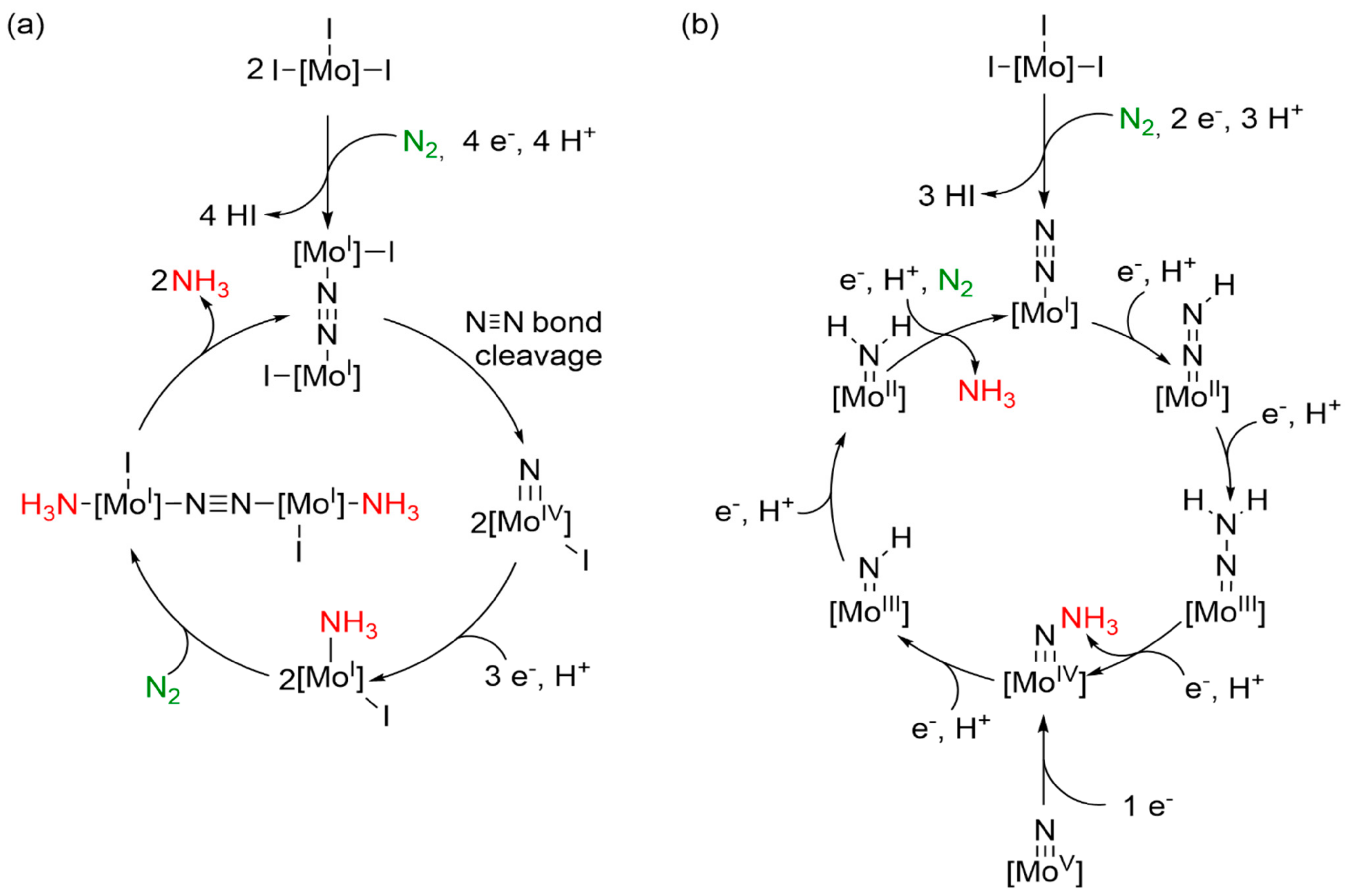 Molecules 27 07843 sch004