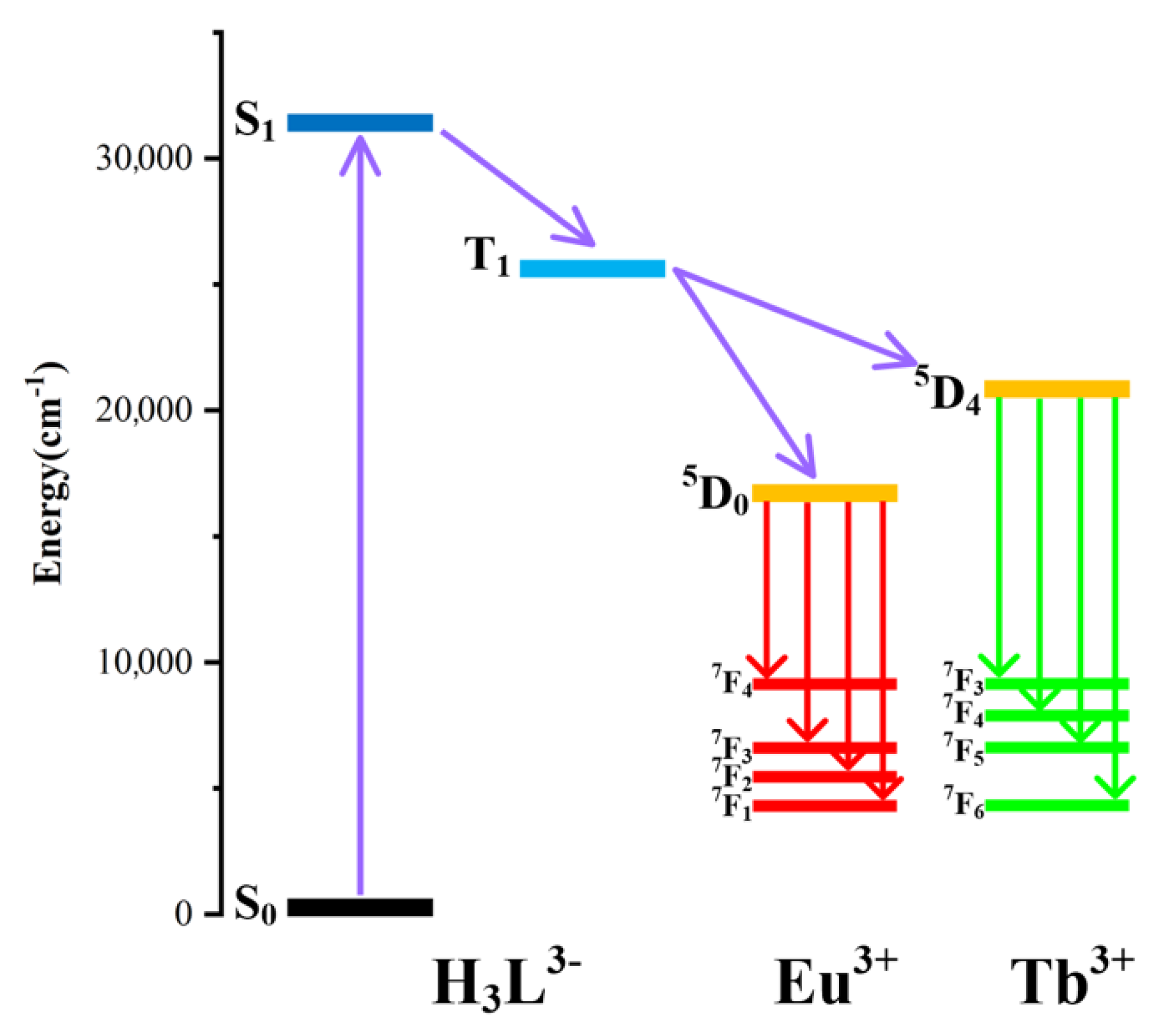 Molecules 27 07849 g006