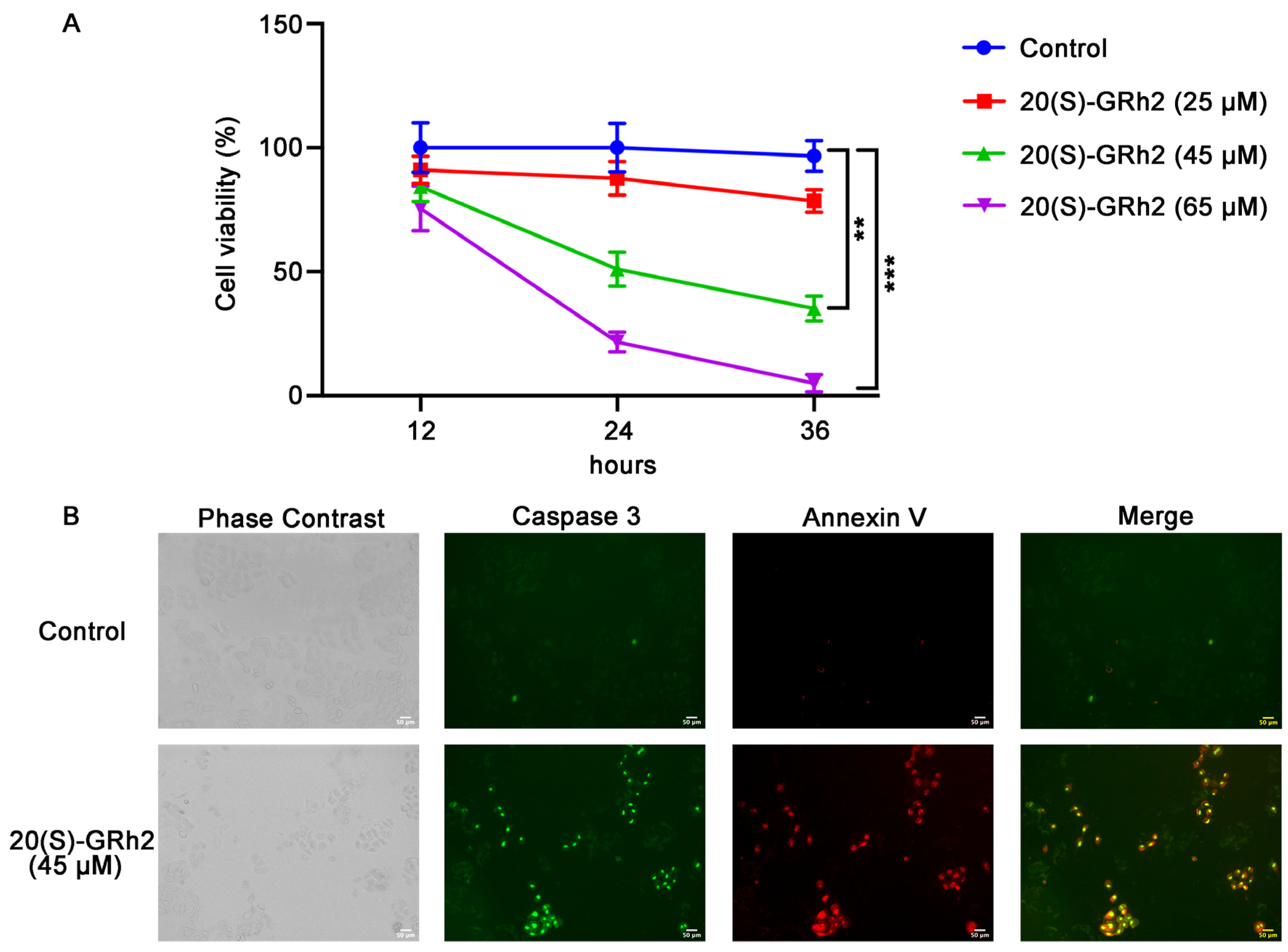 Molecules 27 07865 g001 Molecules 27 07865 g001