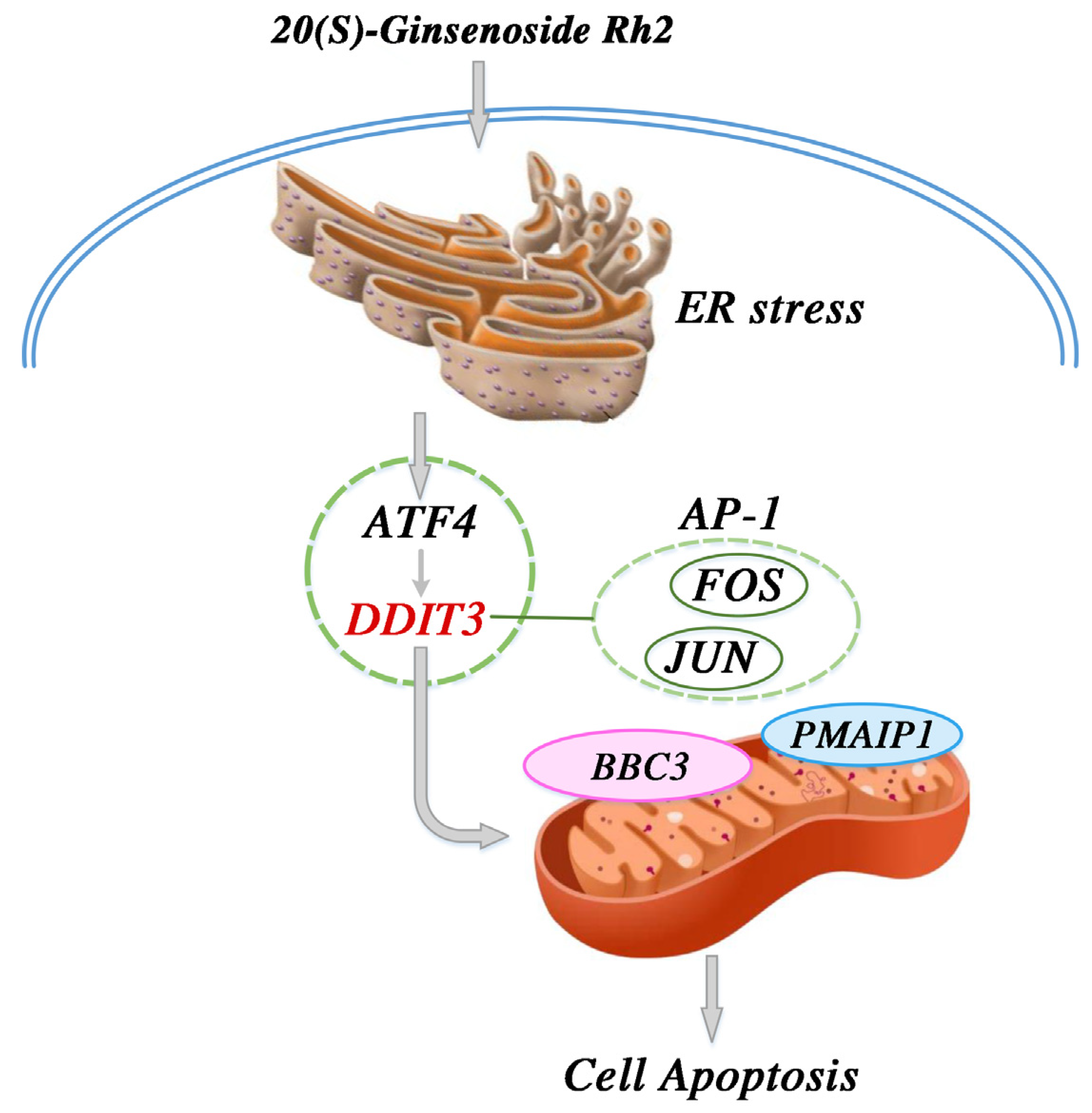 Molecules 27 07865 g011 Molecules 27 07865 g011