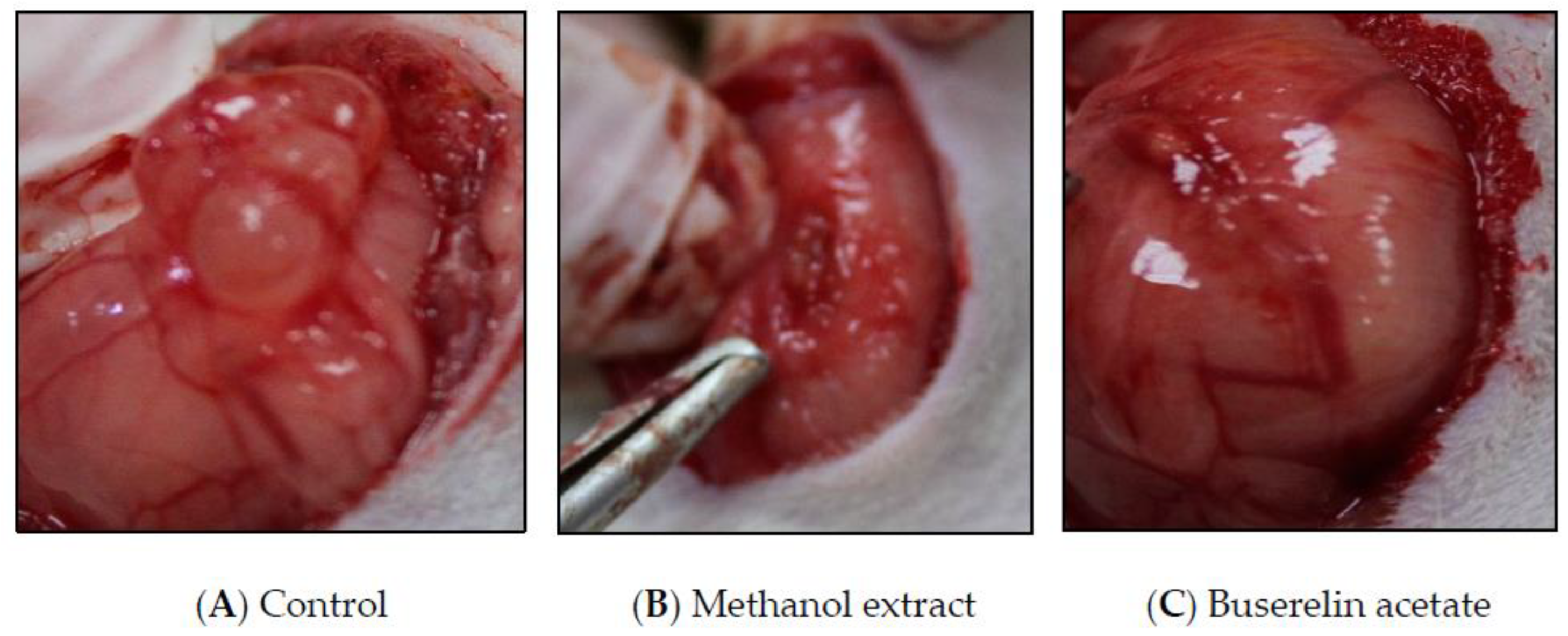 Molecules 27 07869 g003 Molecules 27 07869 g003
