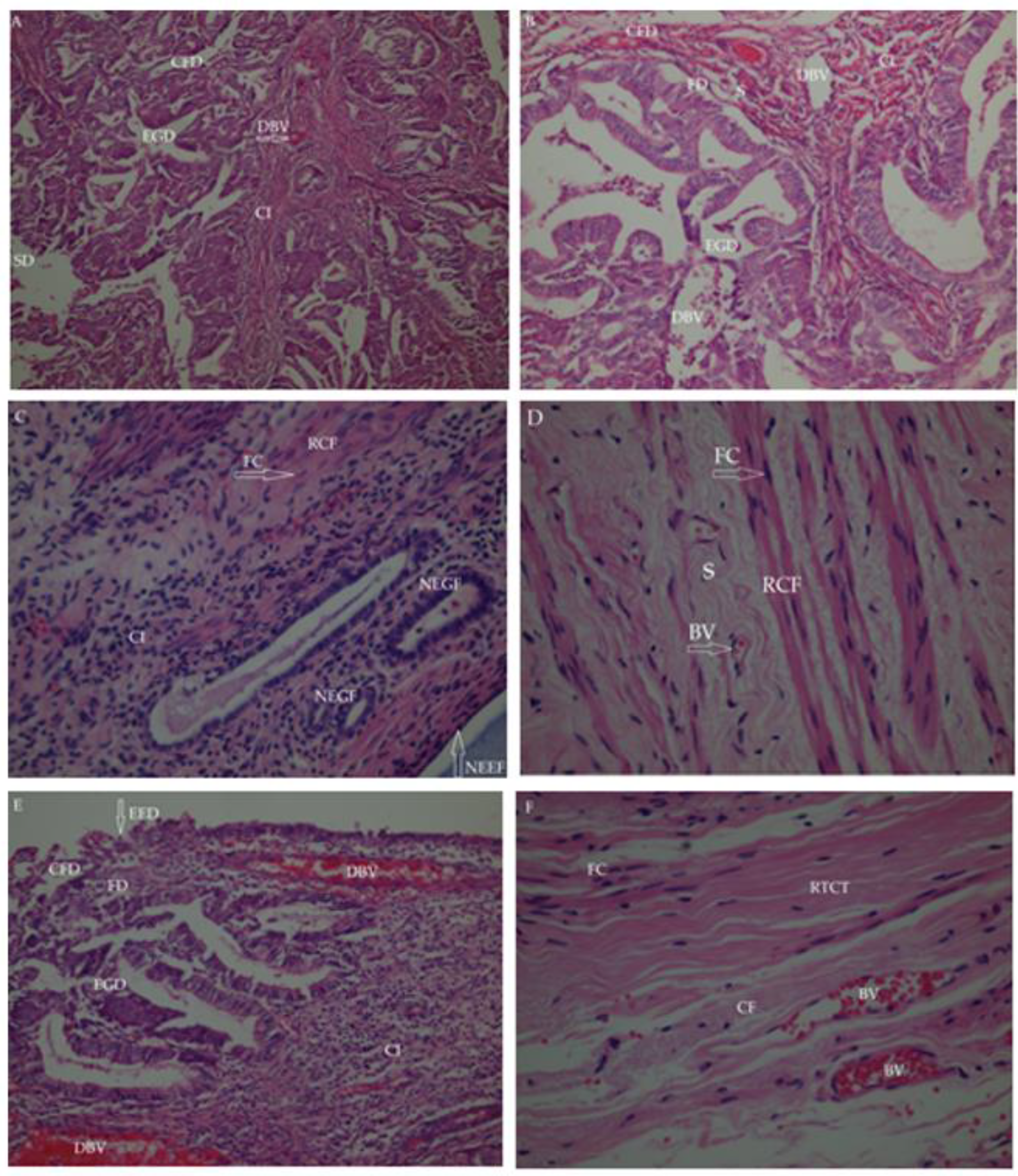 Molecules 27 07869 g005 Molecules 27 07869 g005