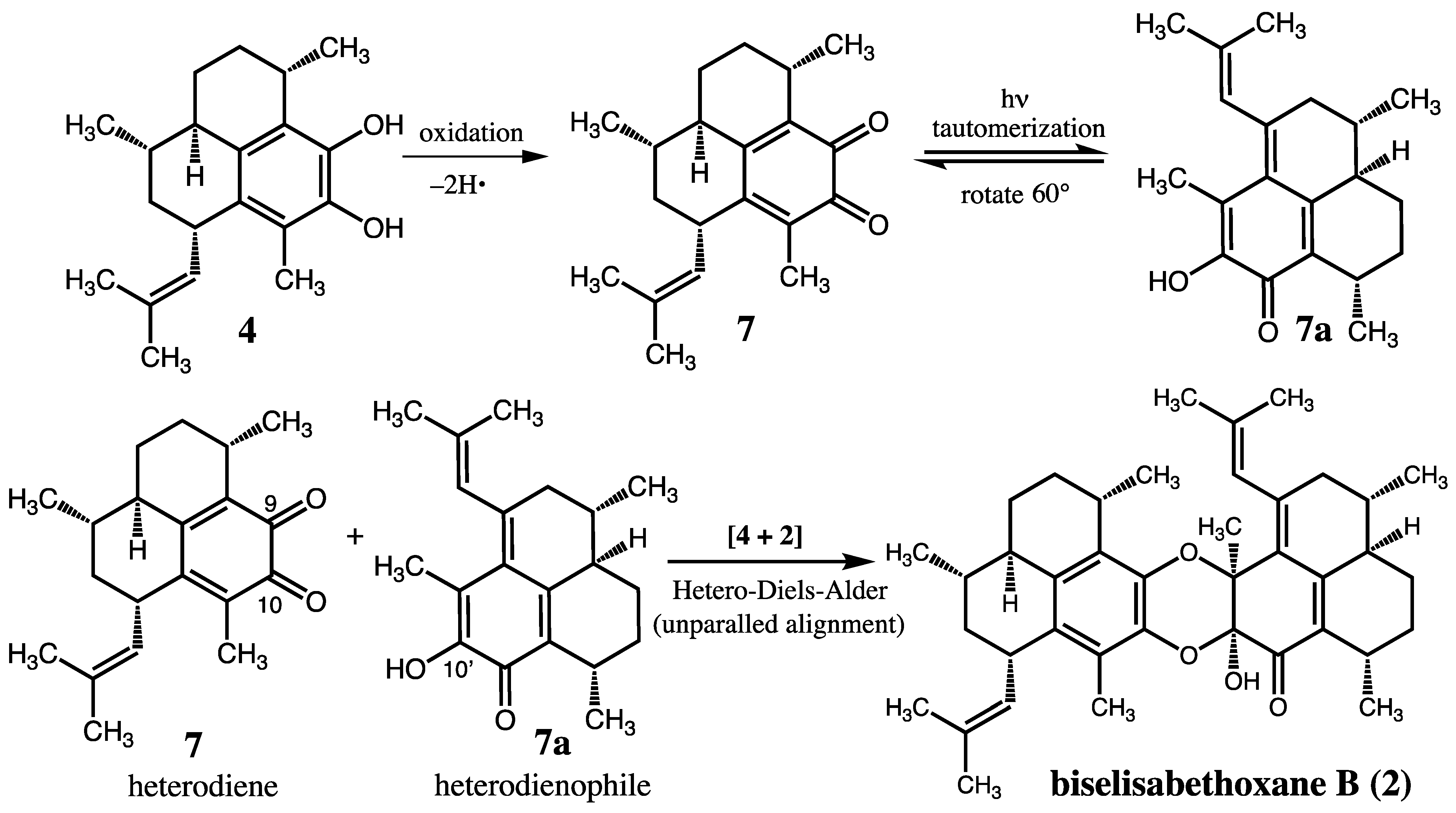 Molecules 27 07879 sch002 Molecules 27 07879 sch002