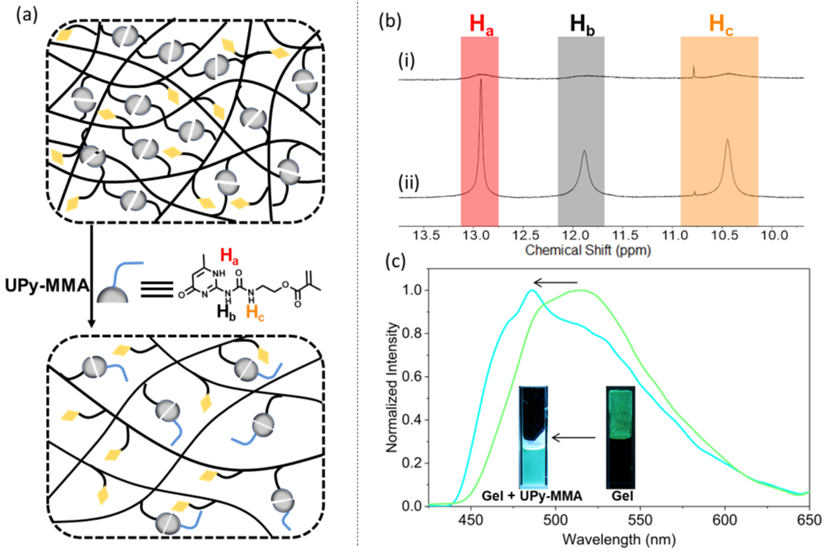 Molecules 27 07881 g006