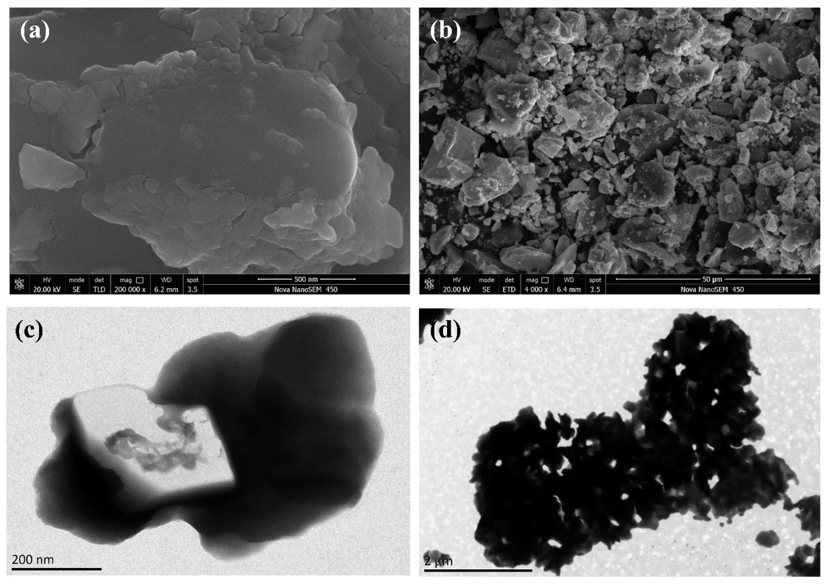 Molecules 27 07889 g005 Molecules 27 07889 g005