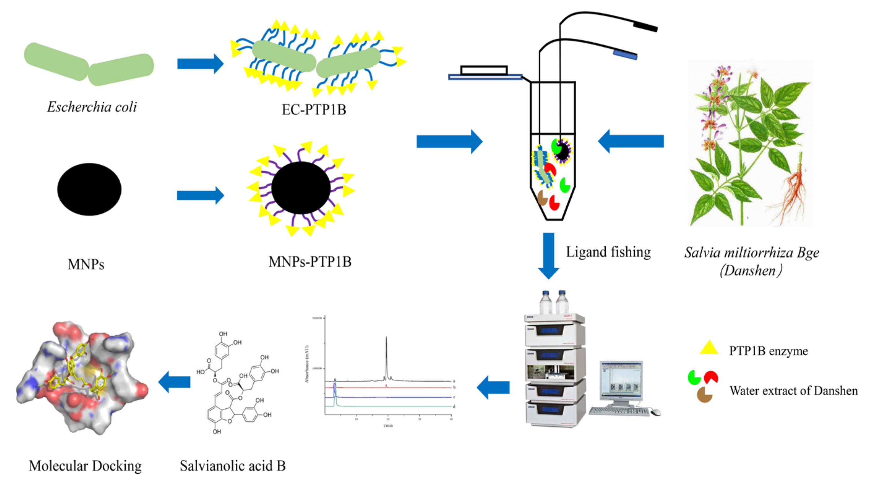 Molecules 27 07896 g001