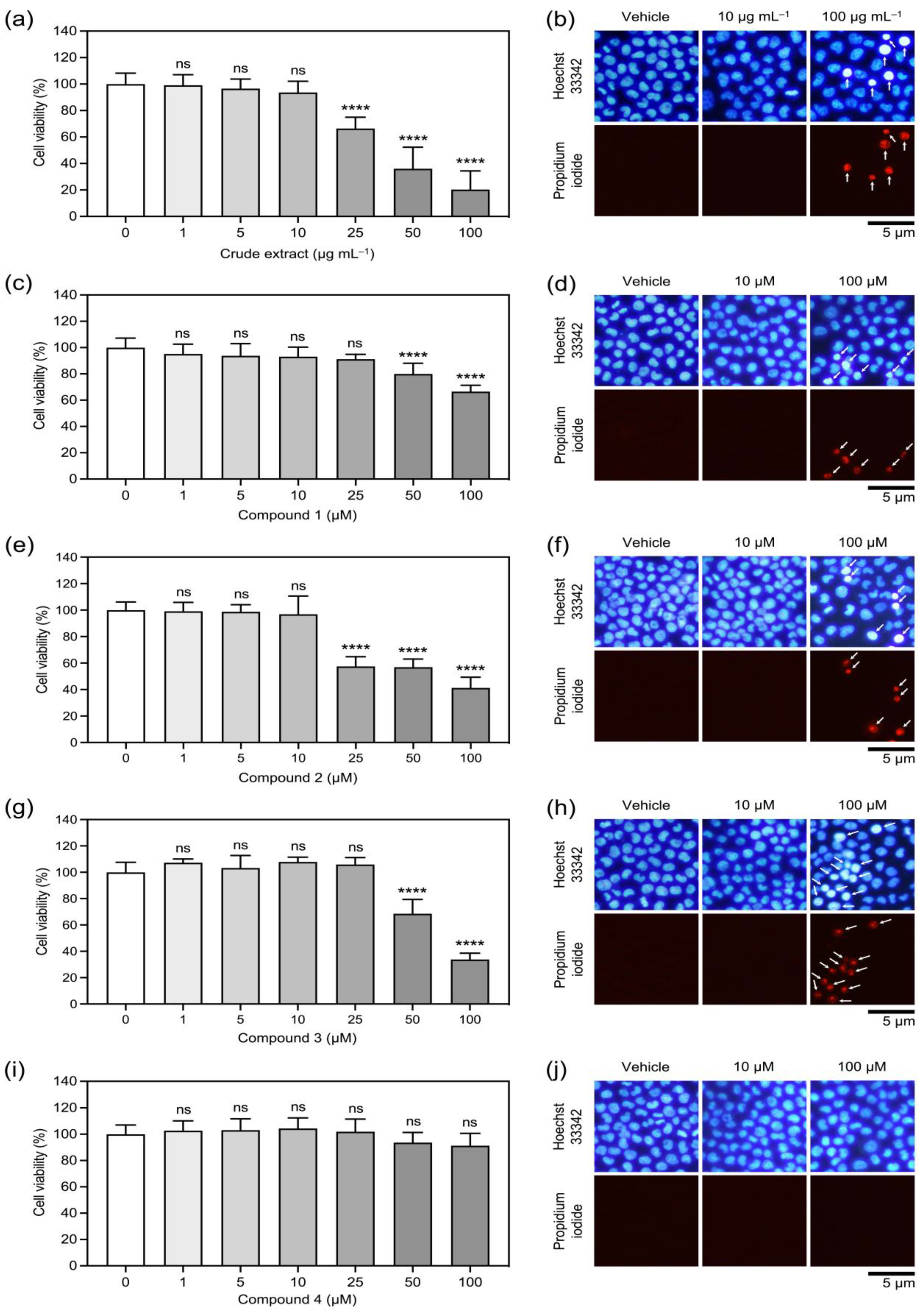 Molecules 27 07902 g002