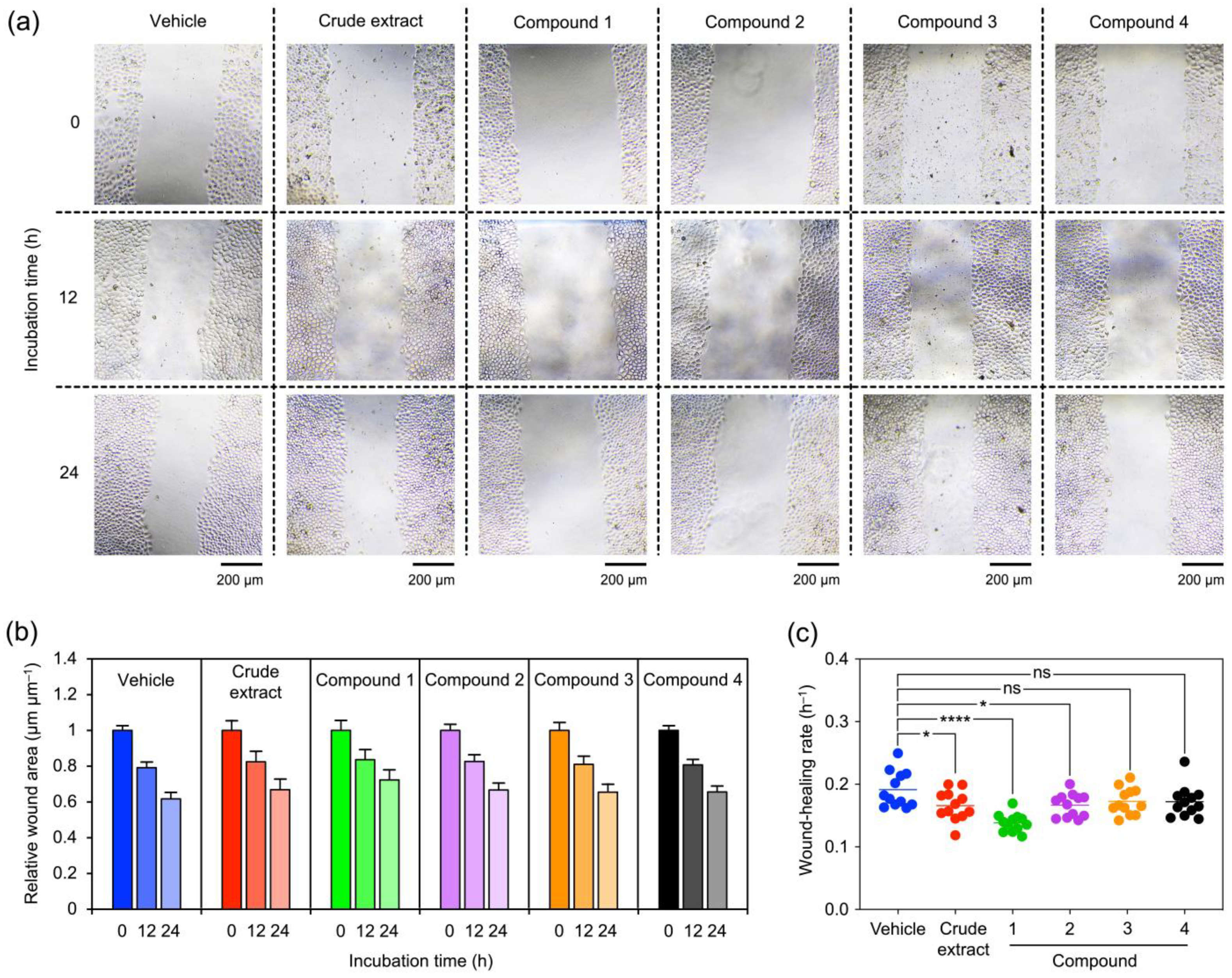 Molecules 27 07902 g004