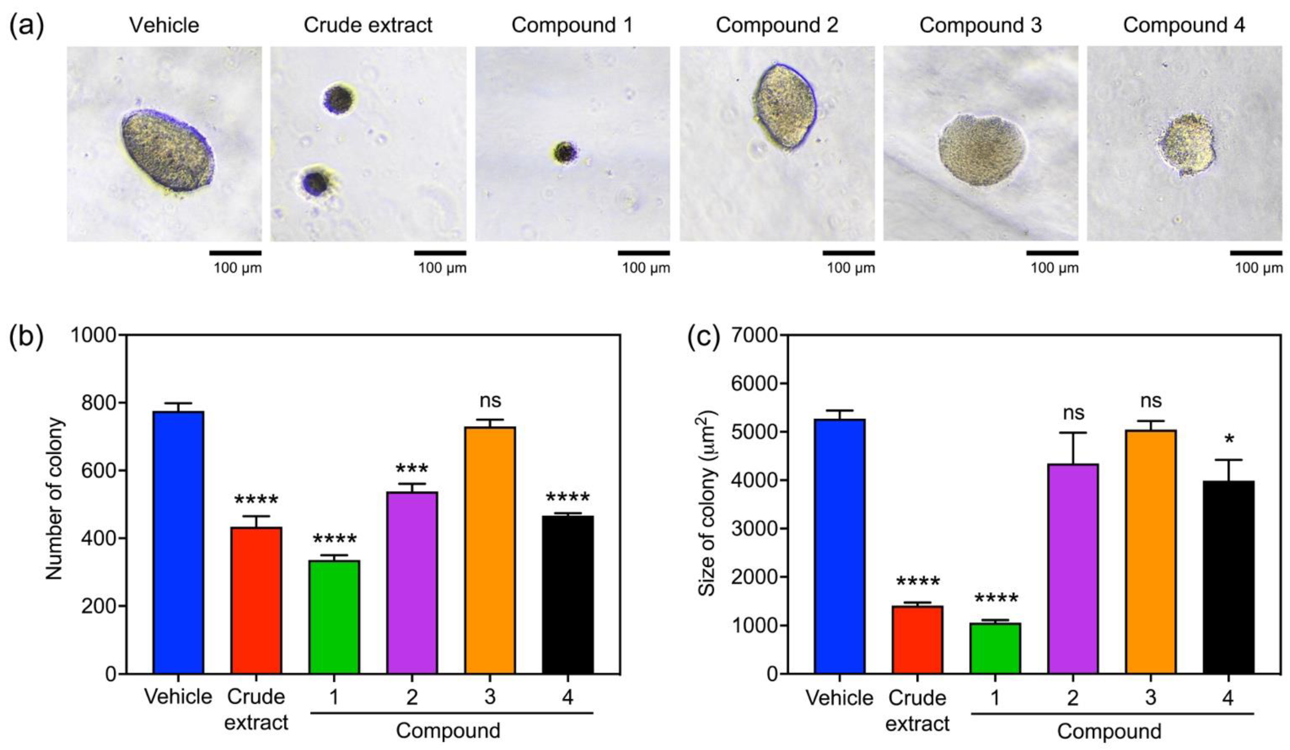 Molecules 27 07902 g005