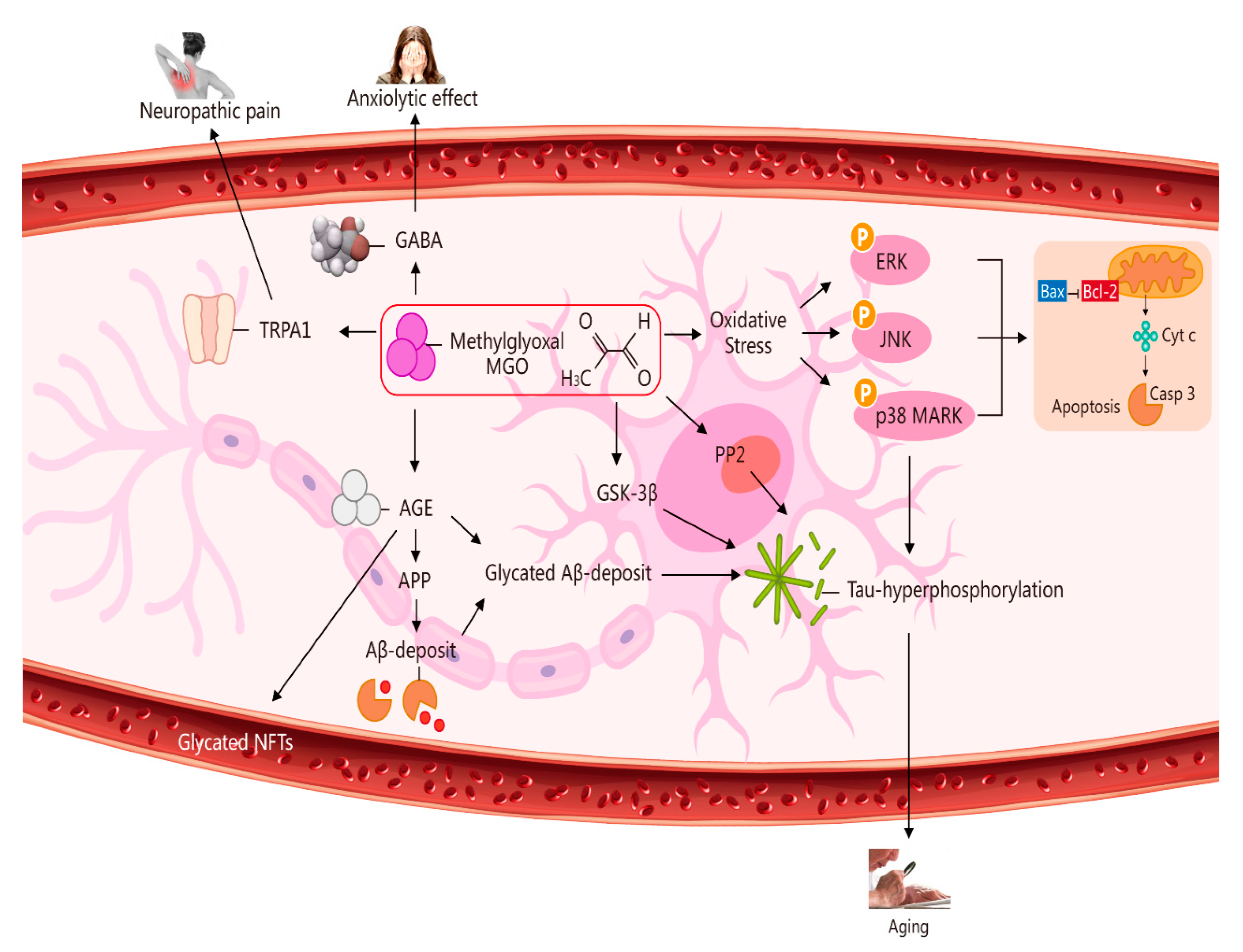 Molecules 27 07905 g002