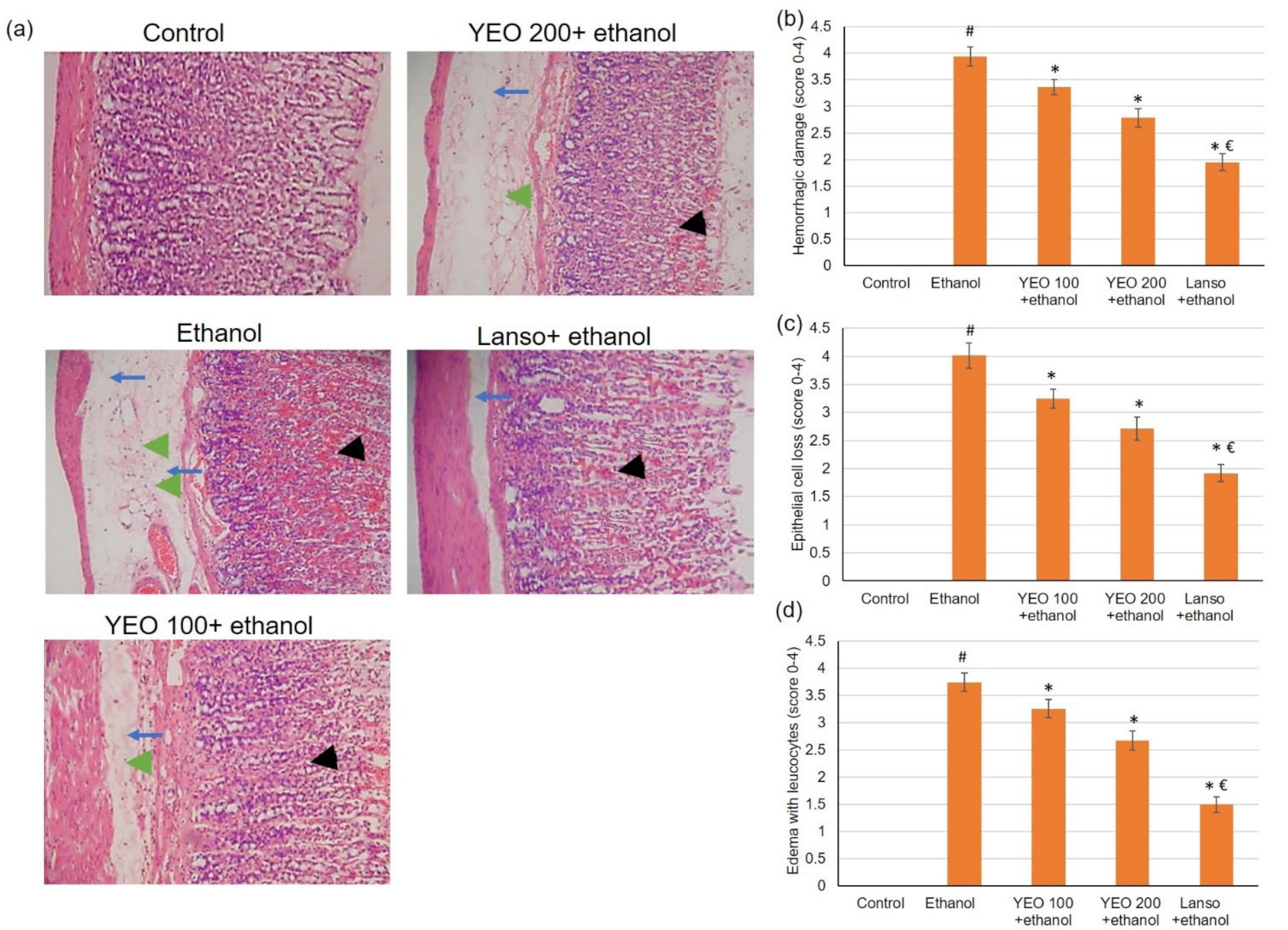 Molecules 27 07908 g002