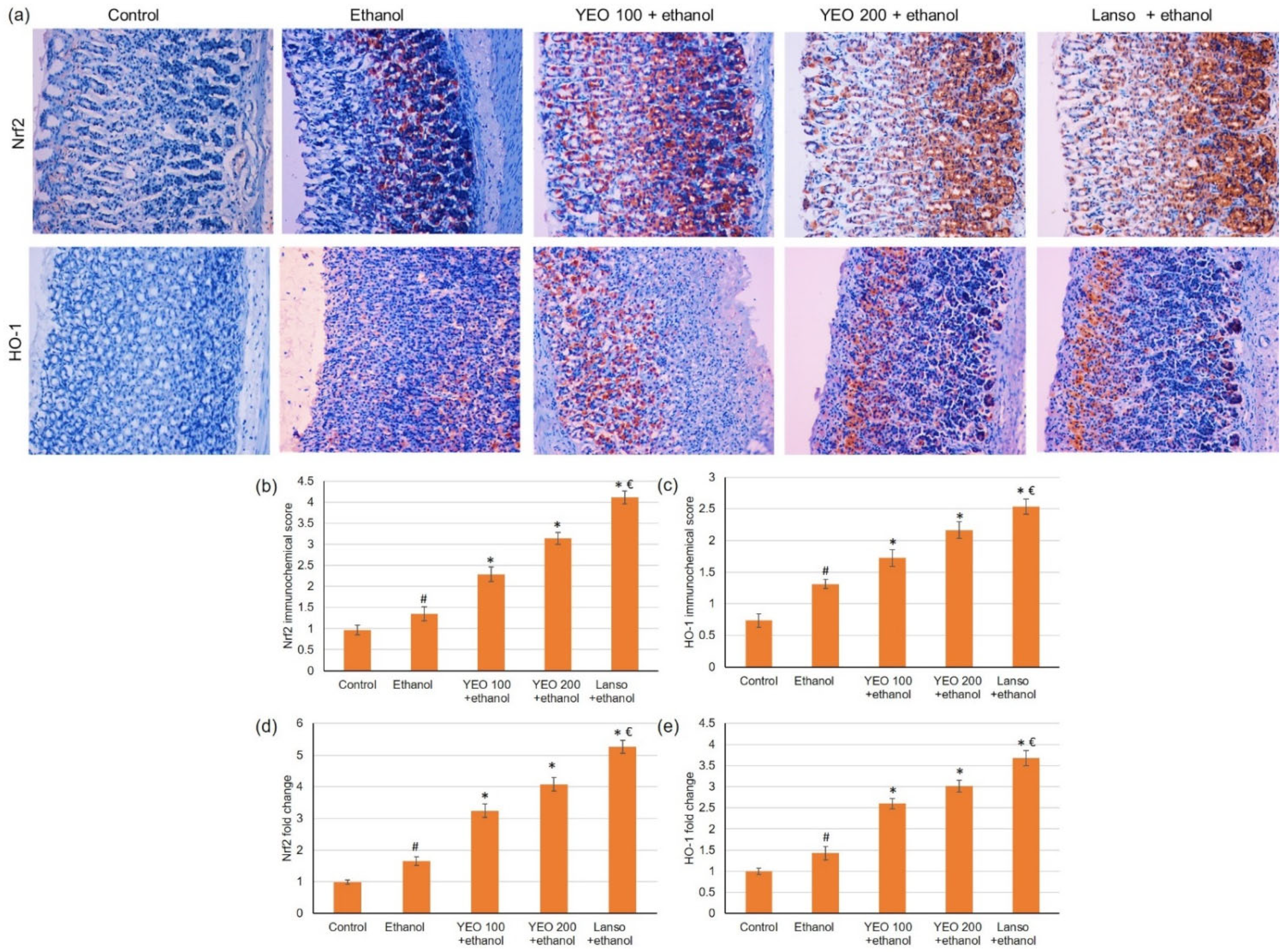 Molecules 27 07908 g003