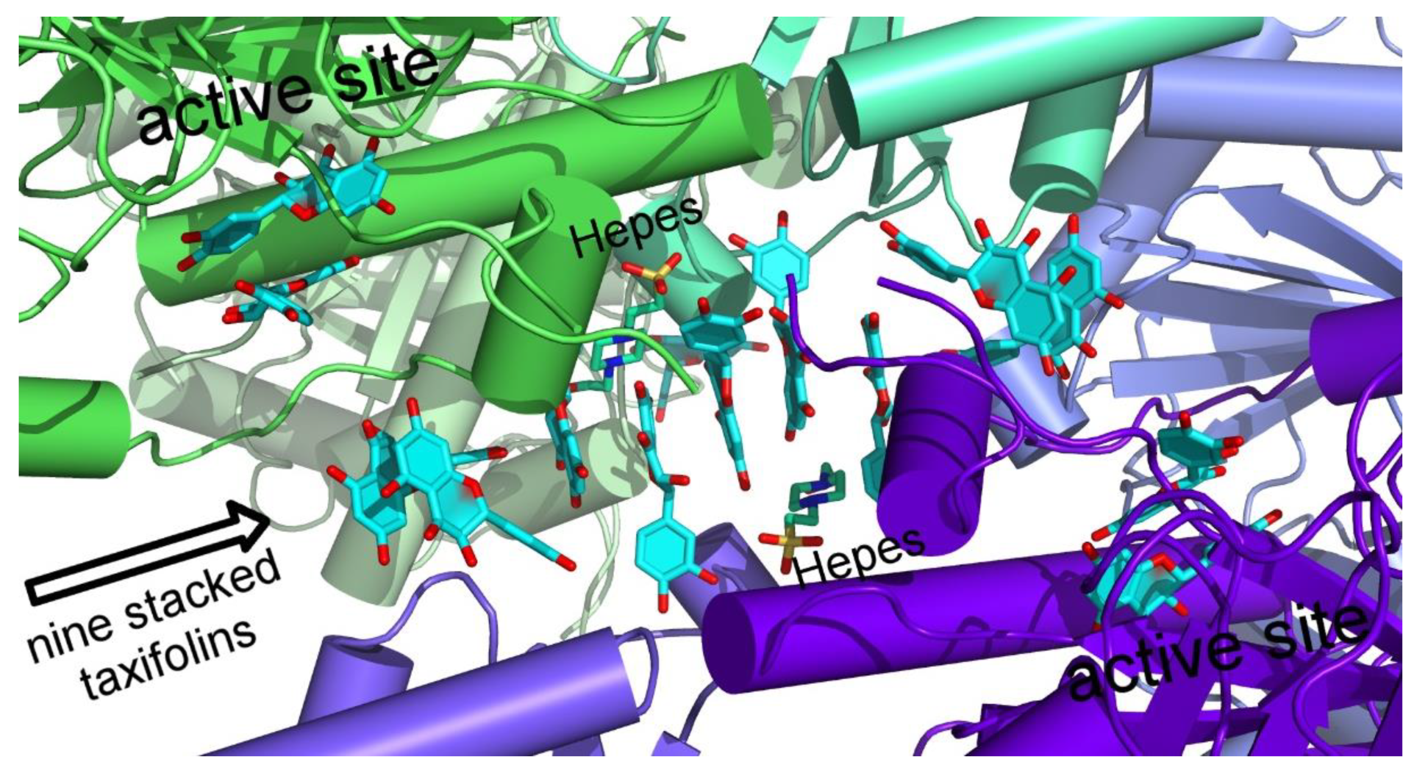Molecules 27 07909 g003
