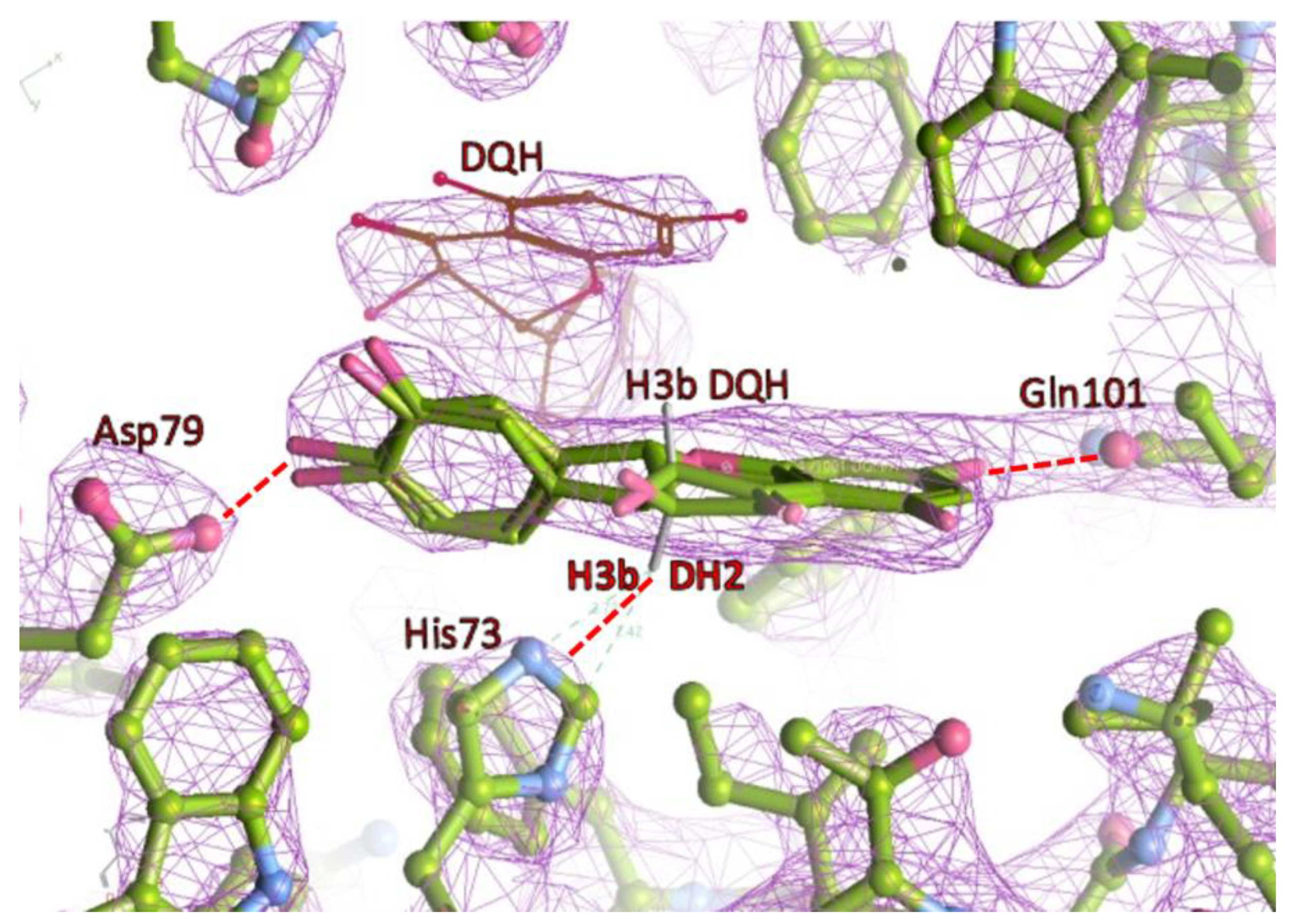 Molecules 27 07909 g005