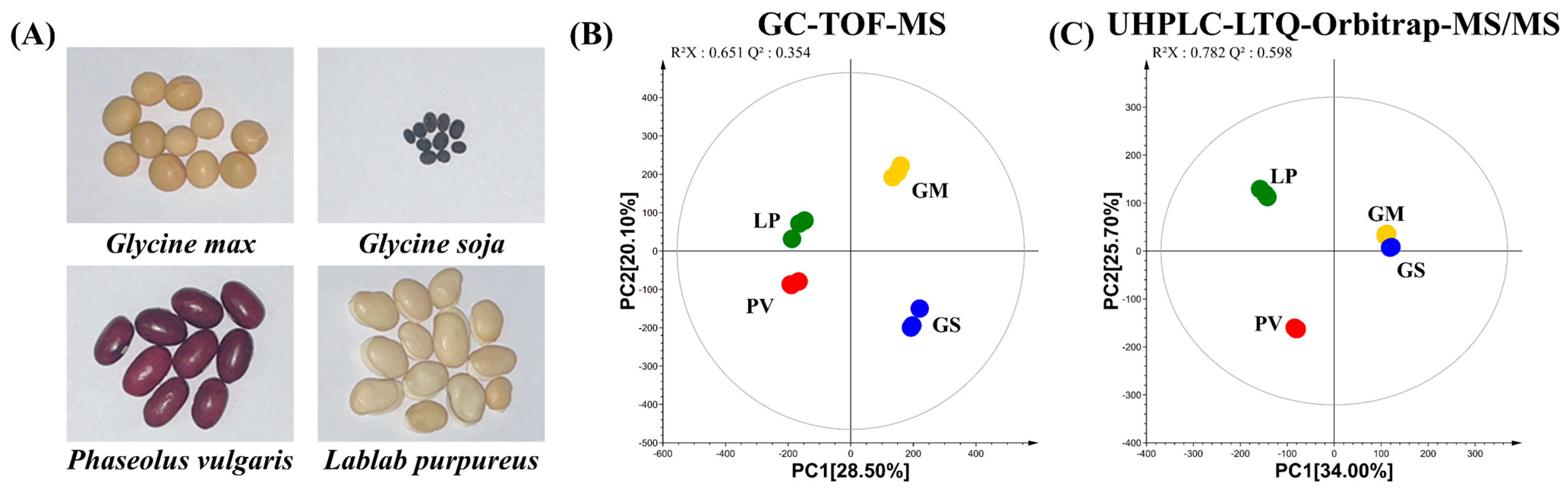 Molecules 27 07917 g001 Molecules 27 07917 g001