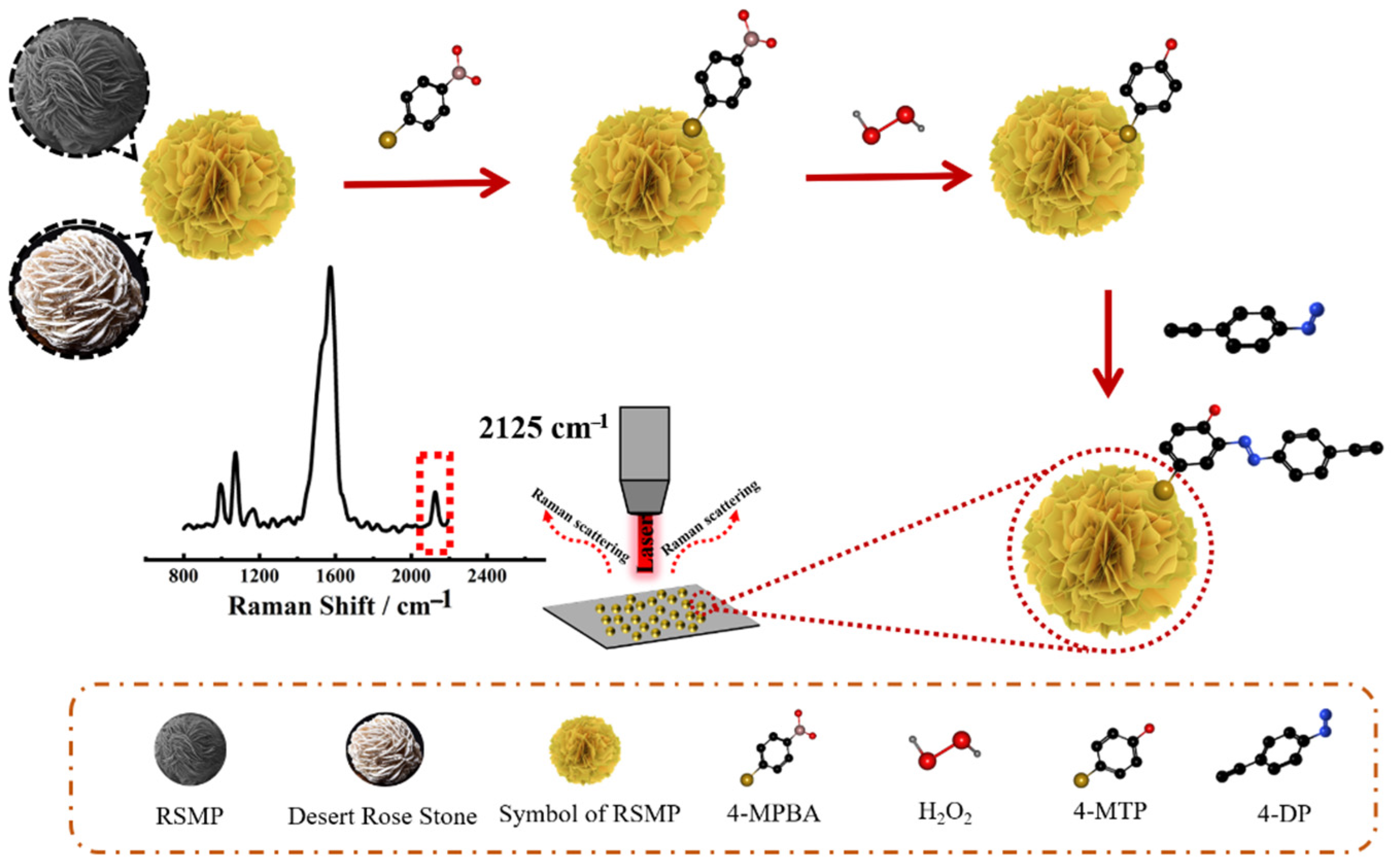 Molecules 27 07918 g001