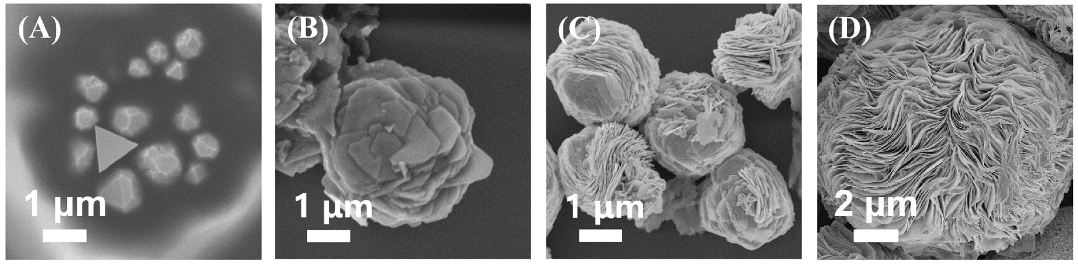 Molecules 27 07918 g003