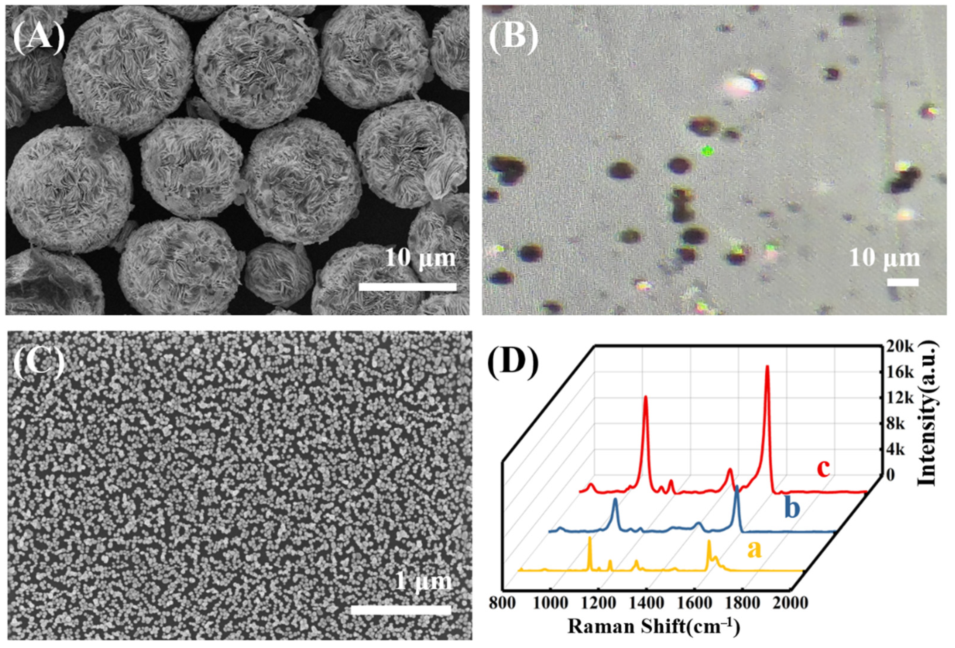 Molecules 27 07918 g006