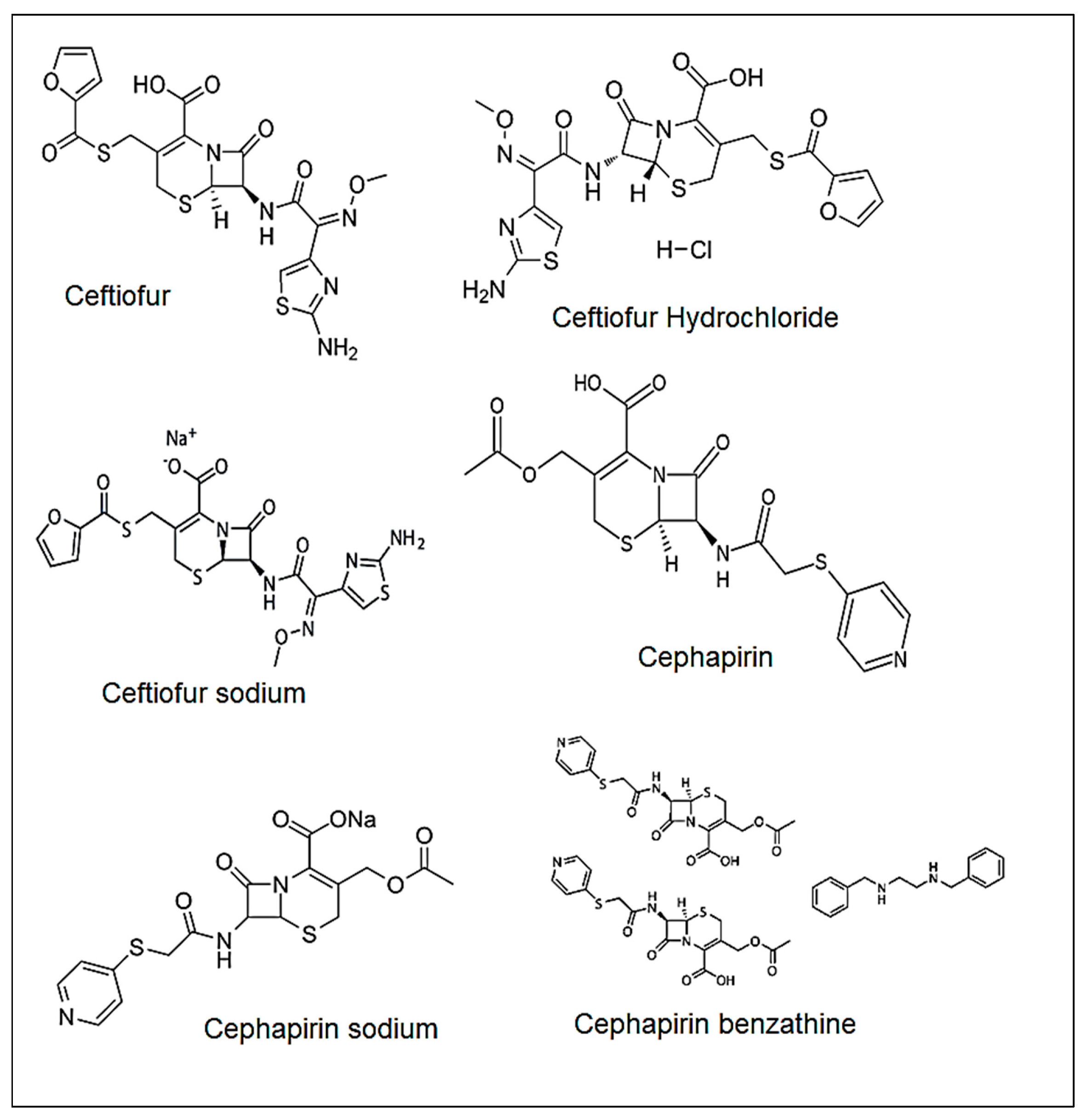 Molecules 27 07920 g001