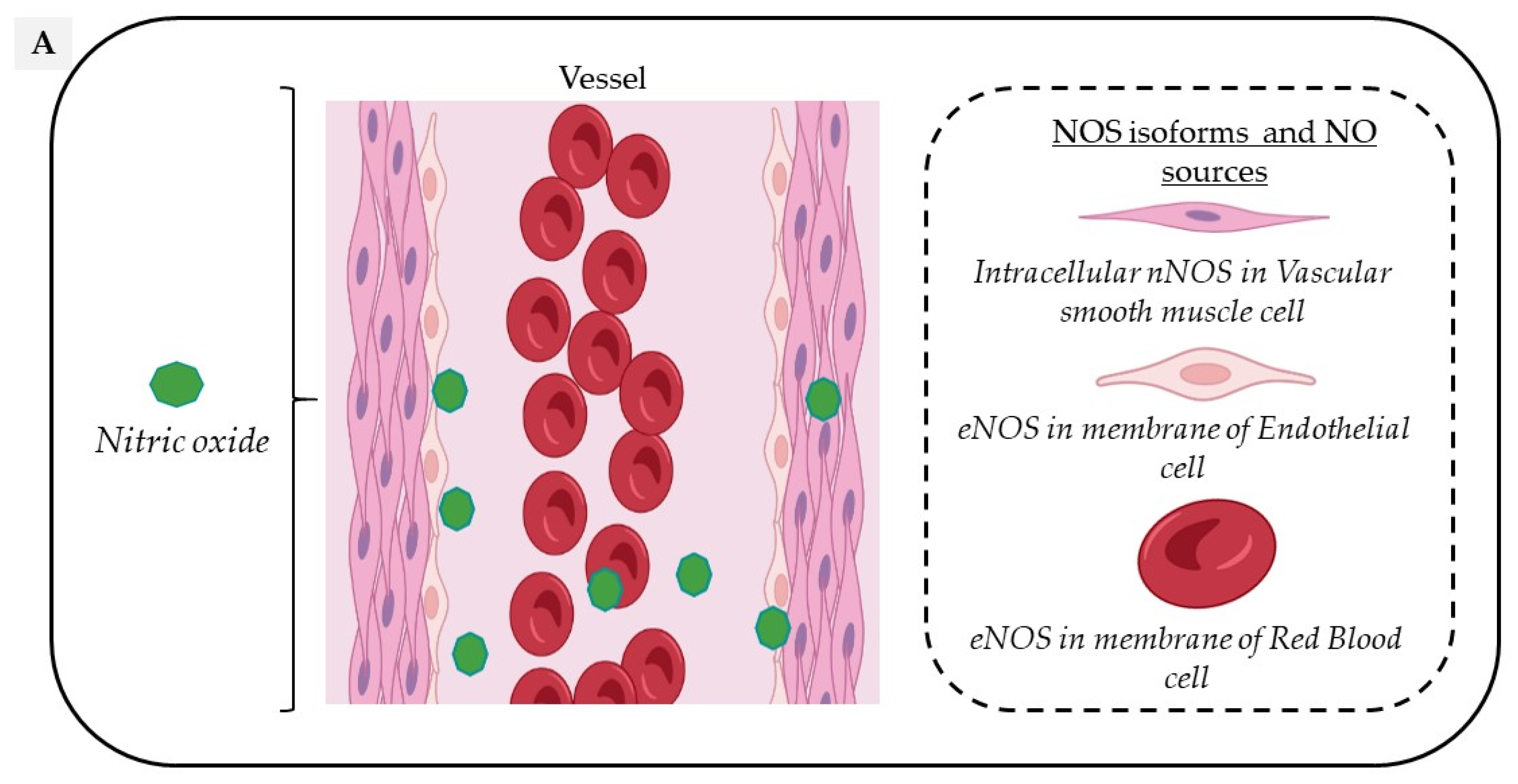 Molecules 27 07921 g001a