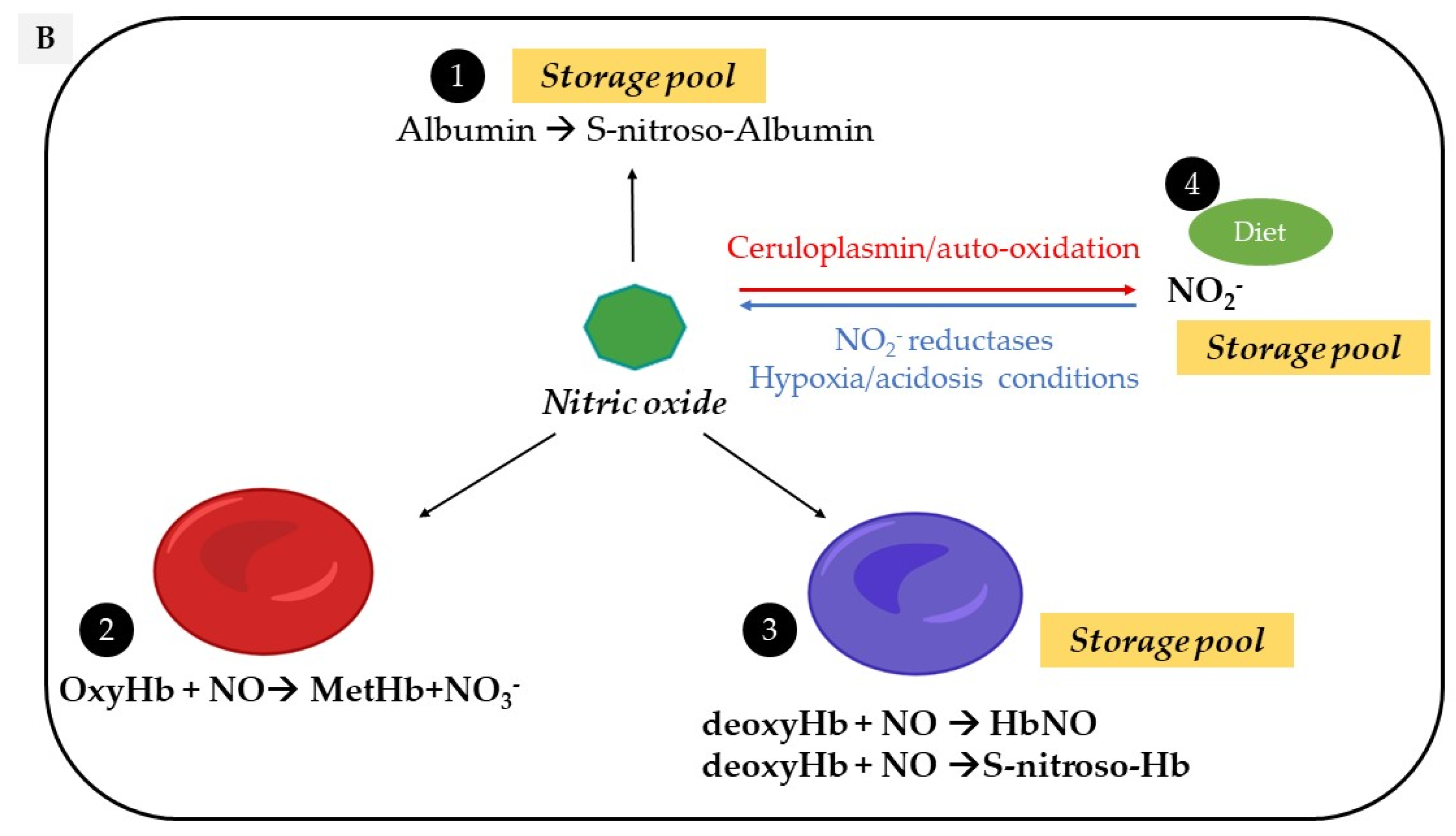 Molecules 27 07921 g001b