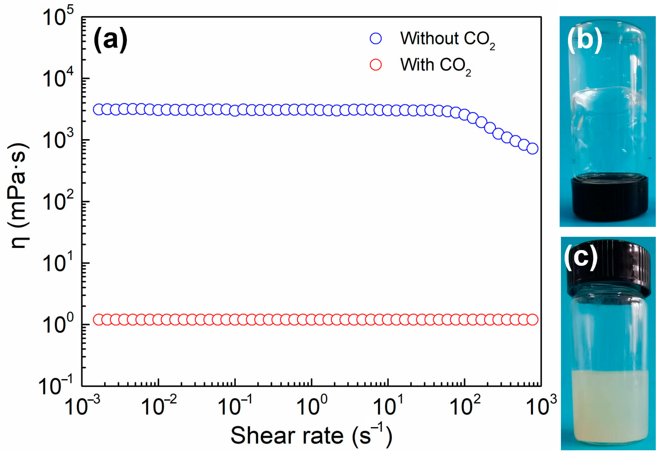 Molecules 27 07922 g001
