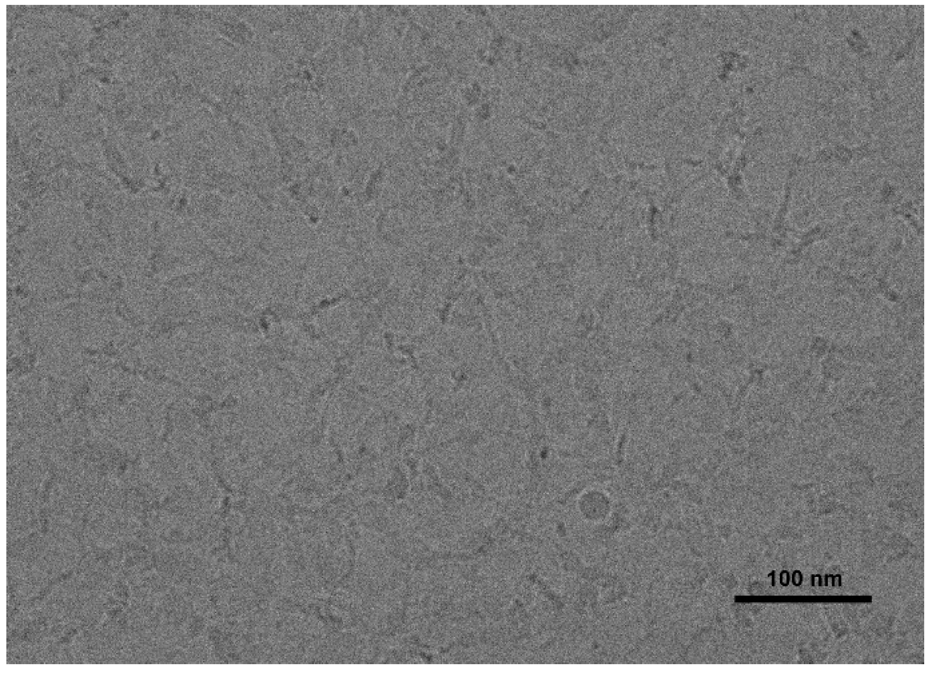 Molecules 27 07922 g003