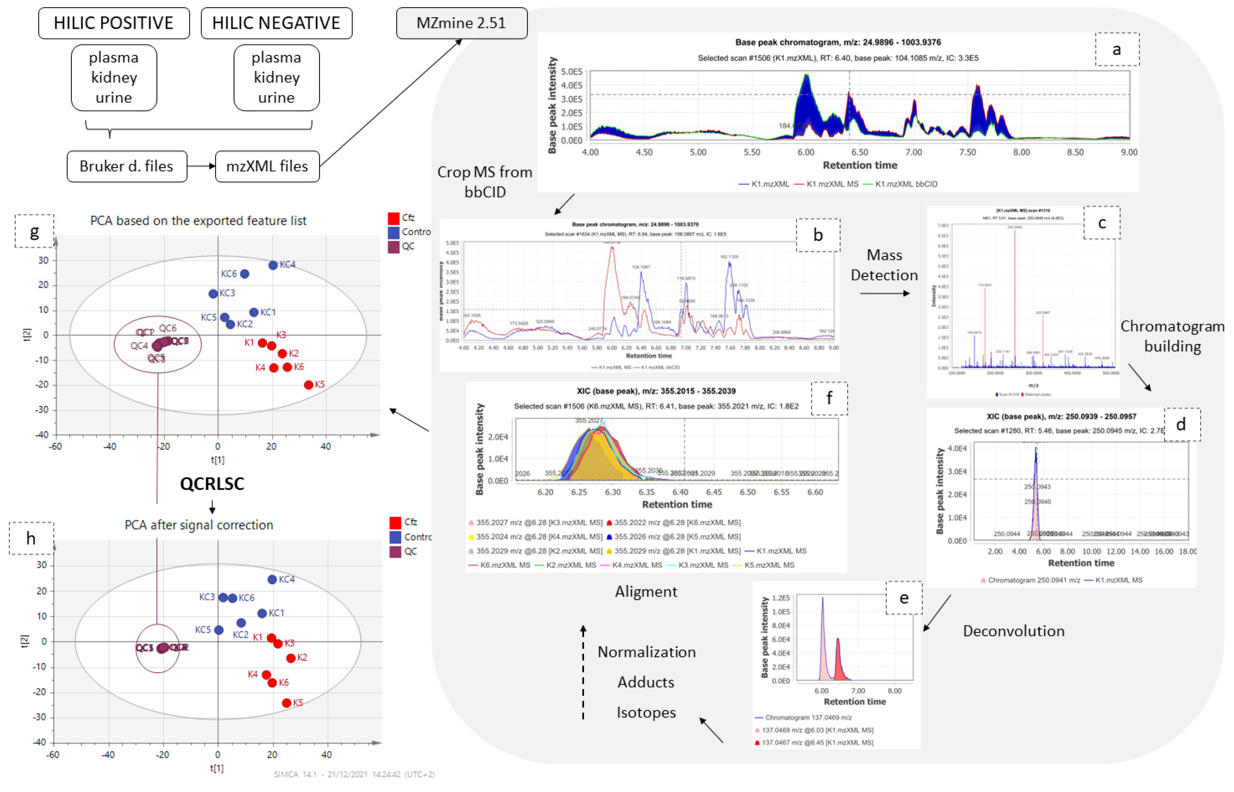 Molecules 27 07929 g006