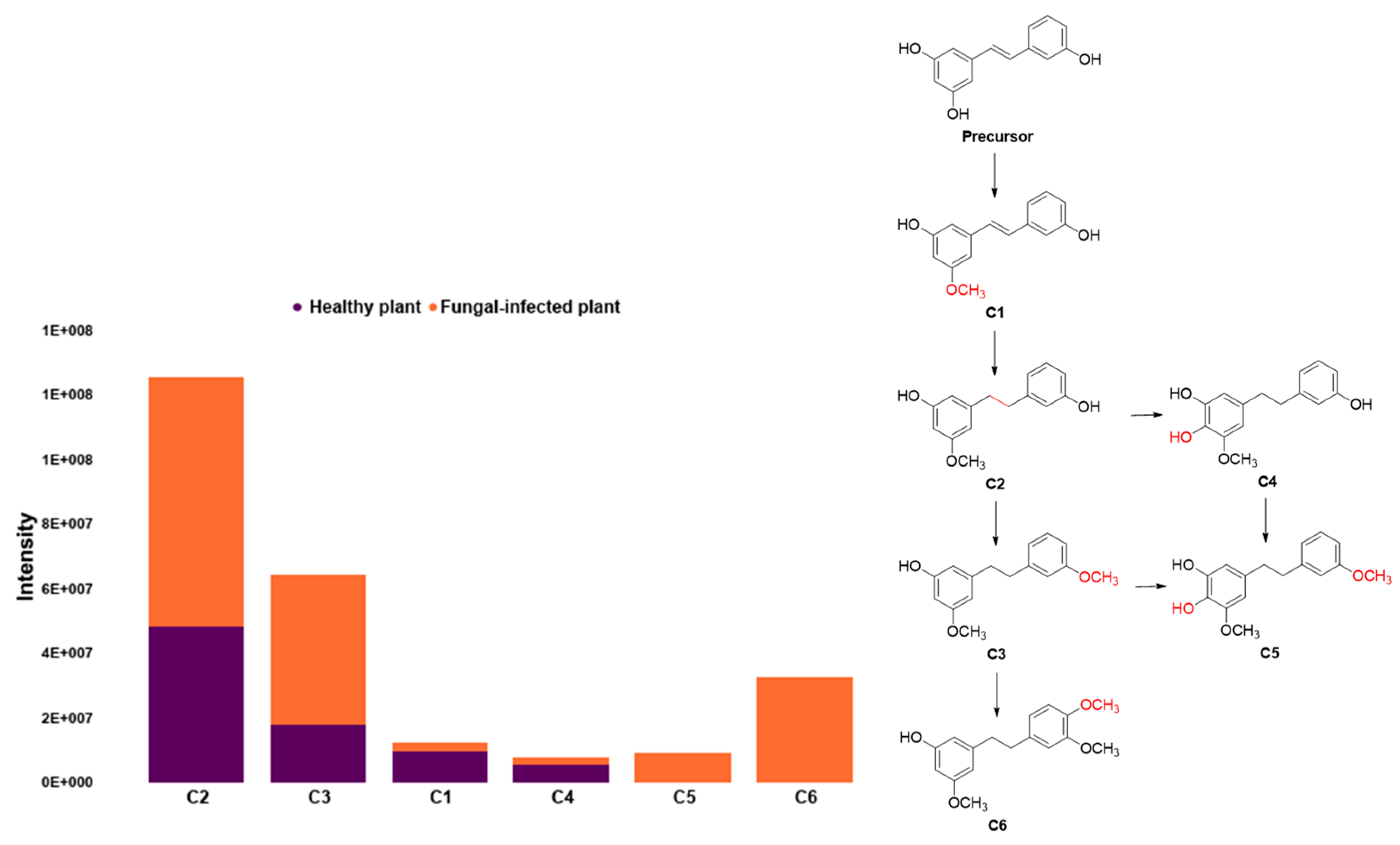 Molecules 27 07937 g004