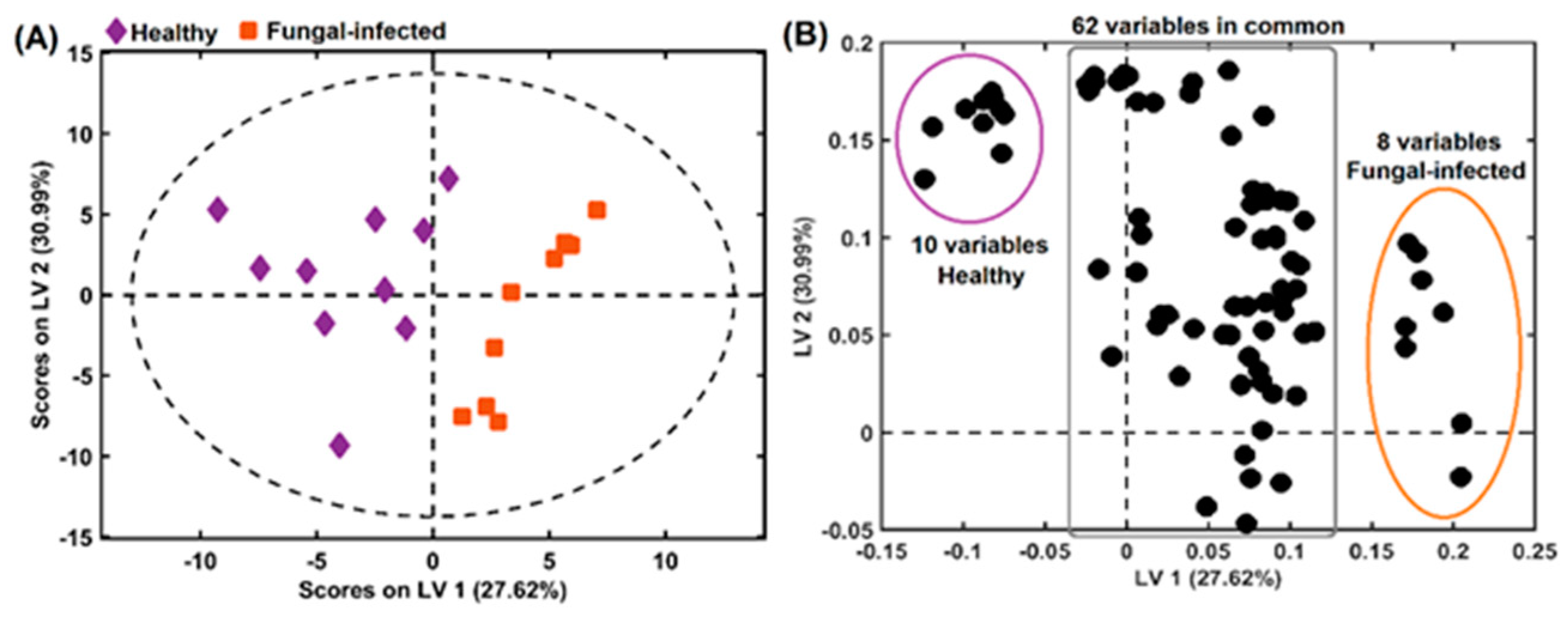 Molecules 27 07937 g008
