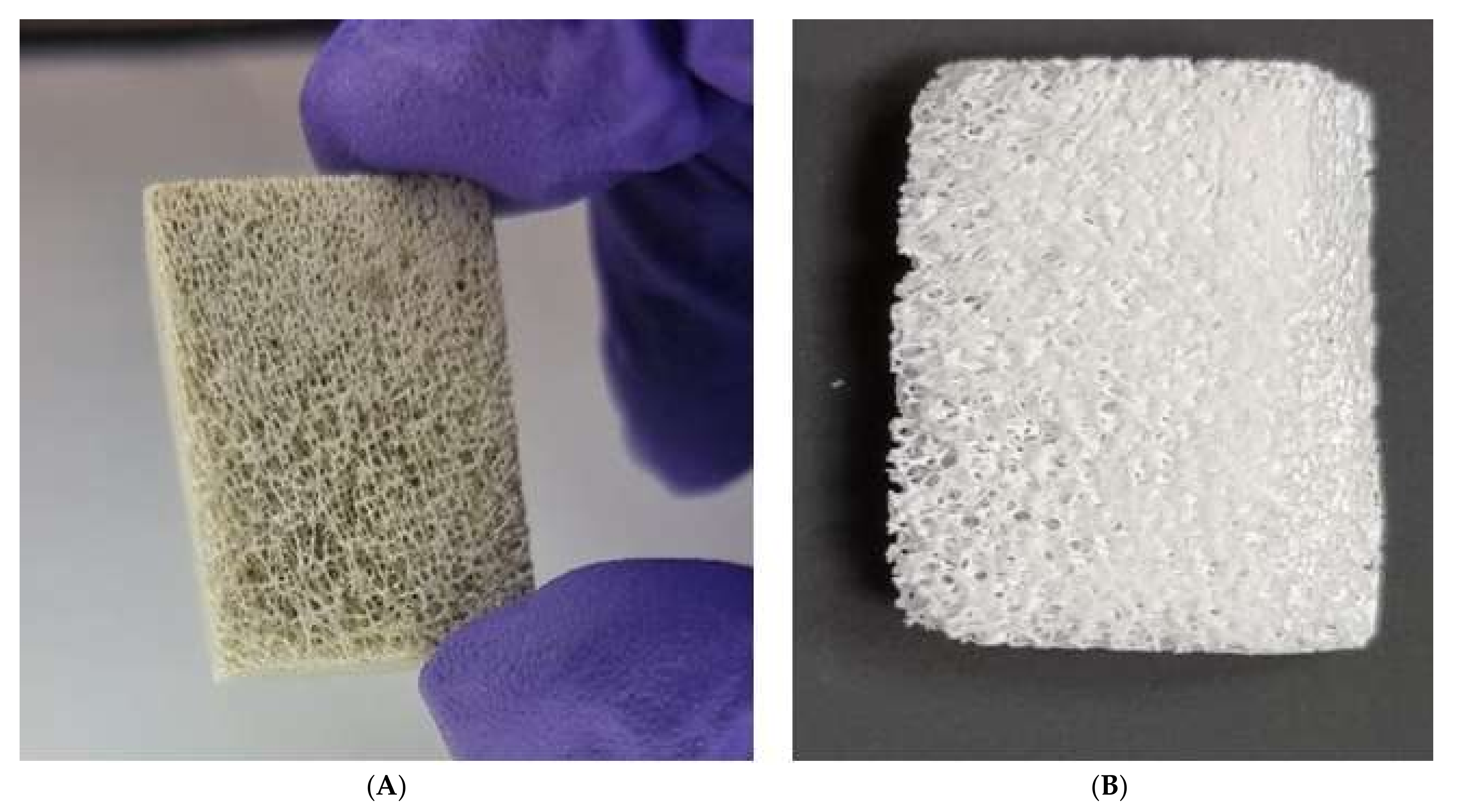 Molecules 27 07946 g002