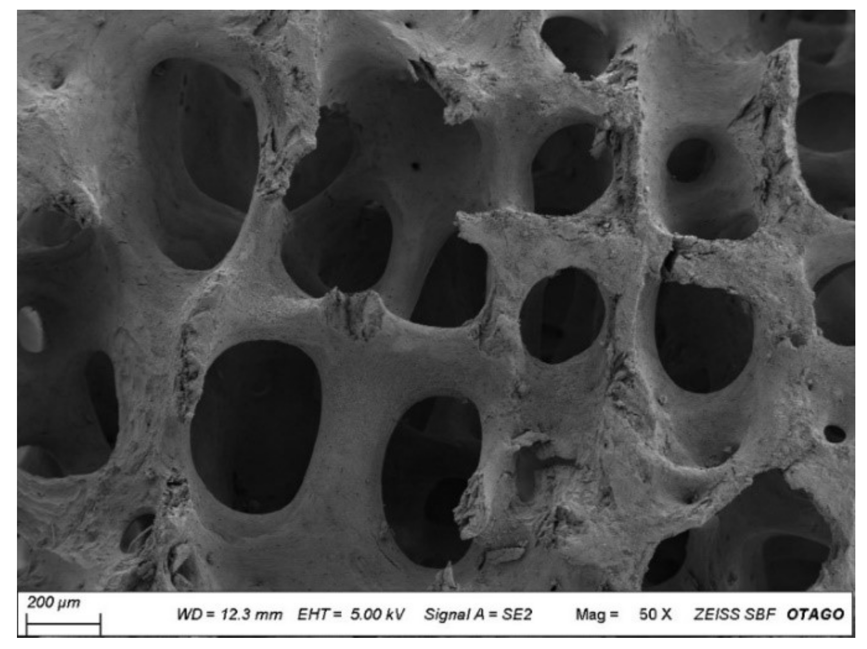 Molecules 27 07946 g006