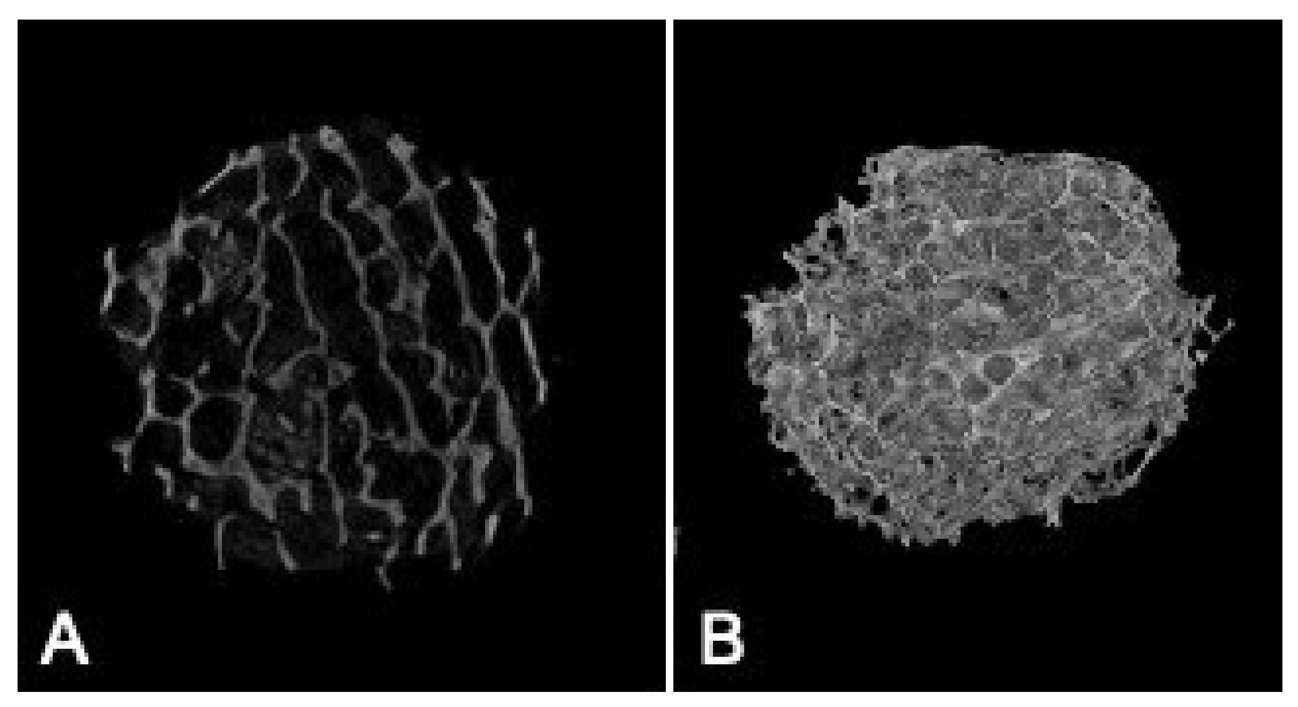 Molecules 27 07946 g007