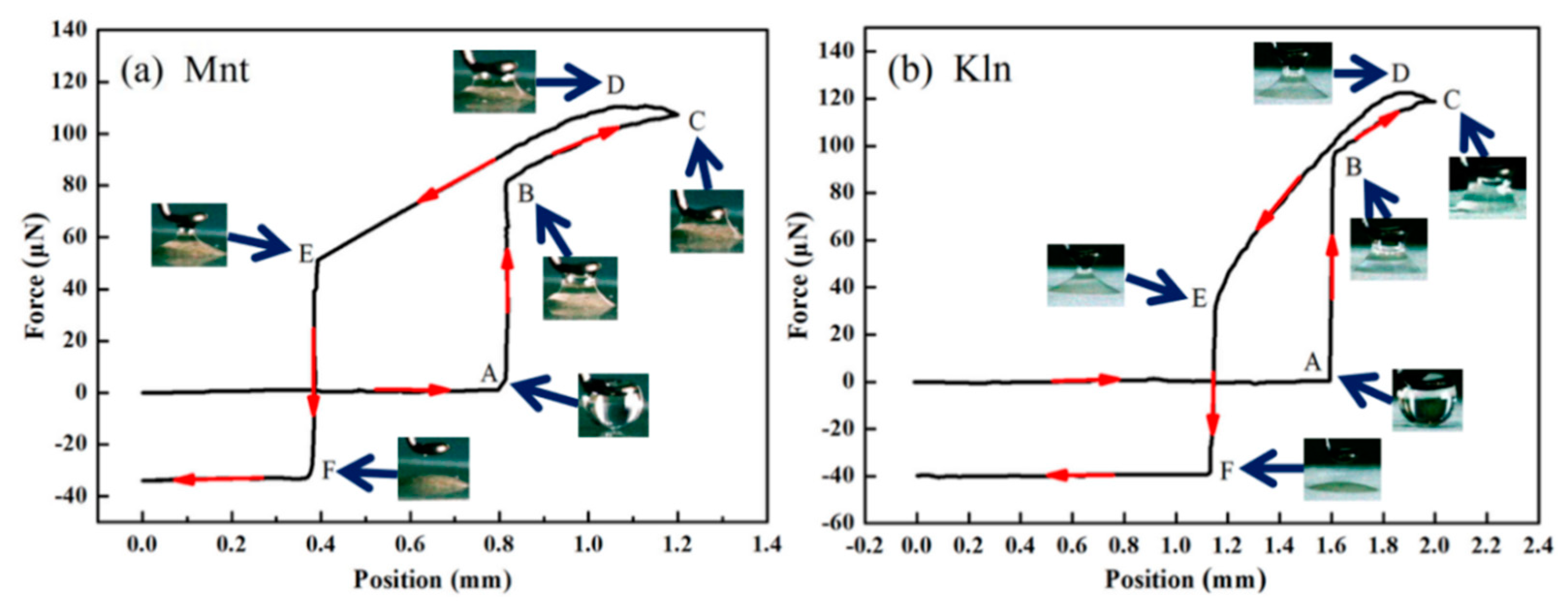 Molecules 27 07950 g007 Molecules 27 07950 g007