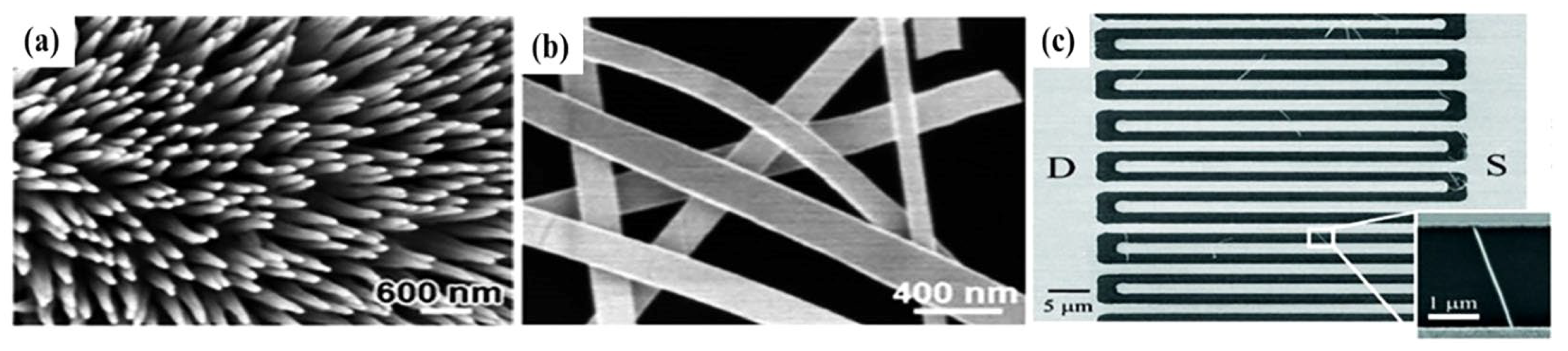 Molecules 27 07952 g003 Molecules 27 07952 g003