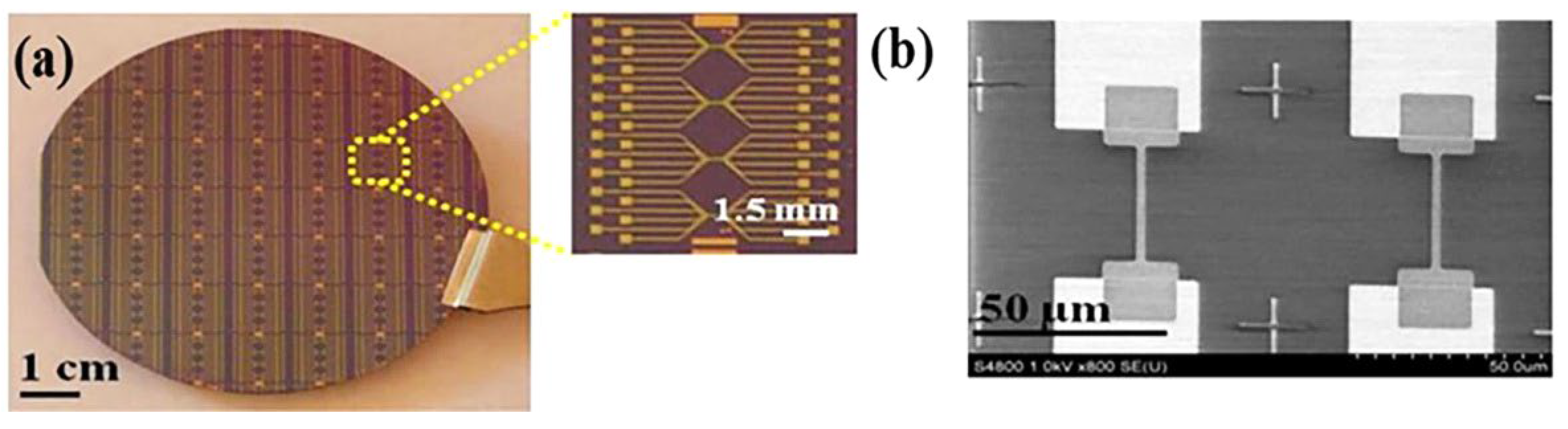 Molecules 27 07952 g004 Molecules 27 07952 g004