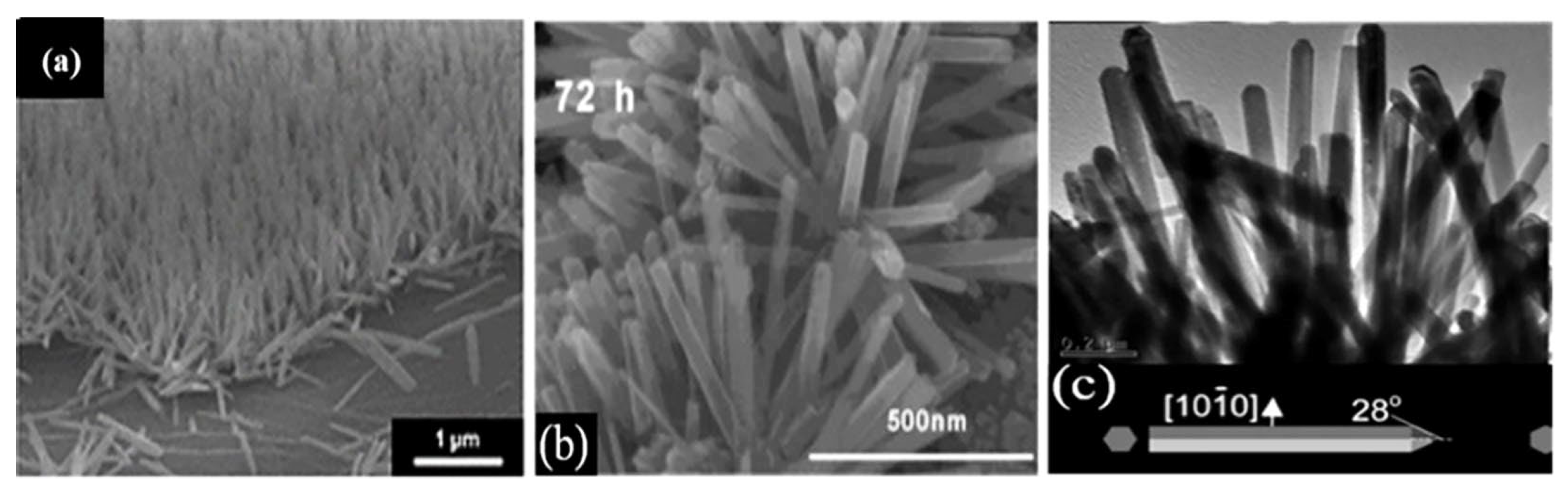 Molecules 27 07952 g005 Molecules 27 07952 g005