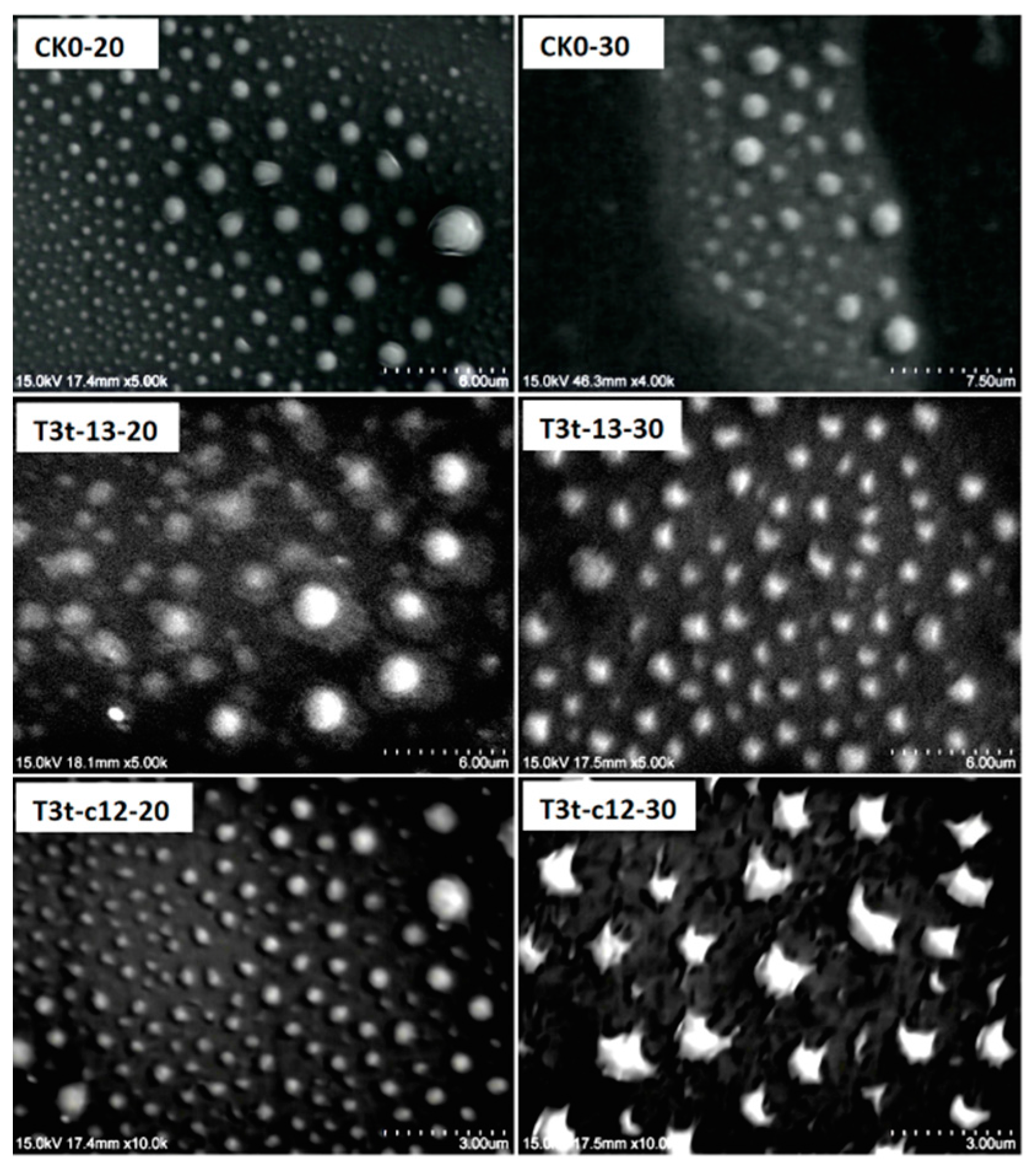 Molecules 27 07959 g006