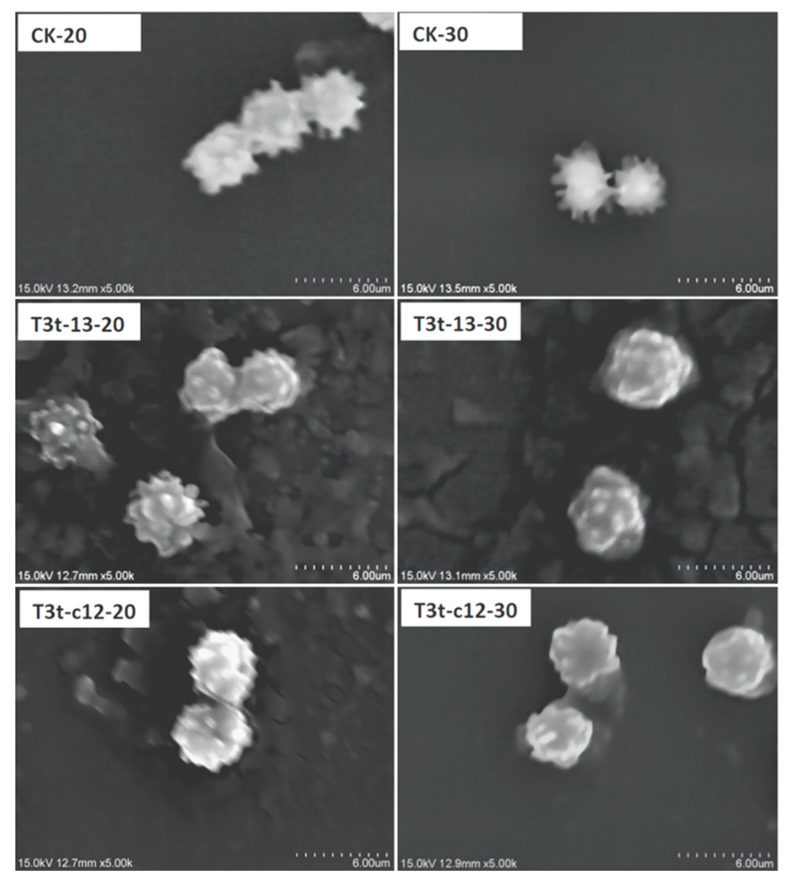 Molecules 27 07959 g008