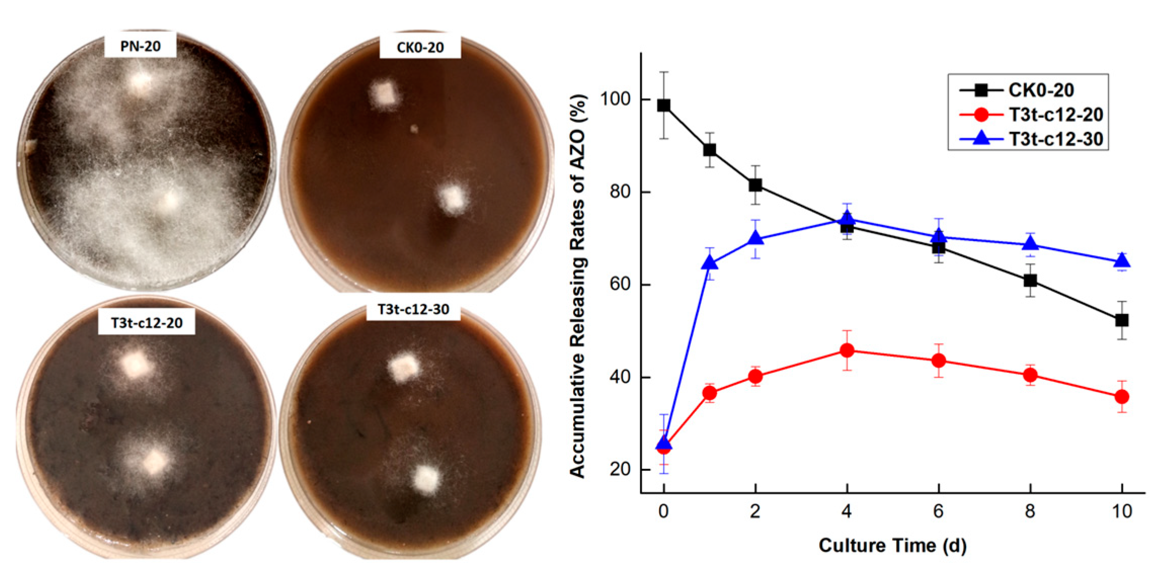 Molecules 27 07959 g010